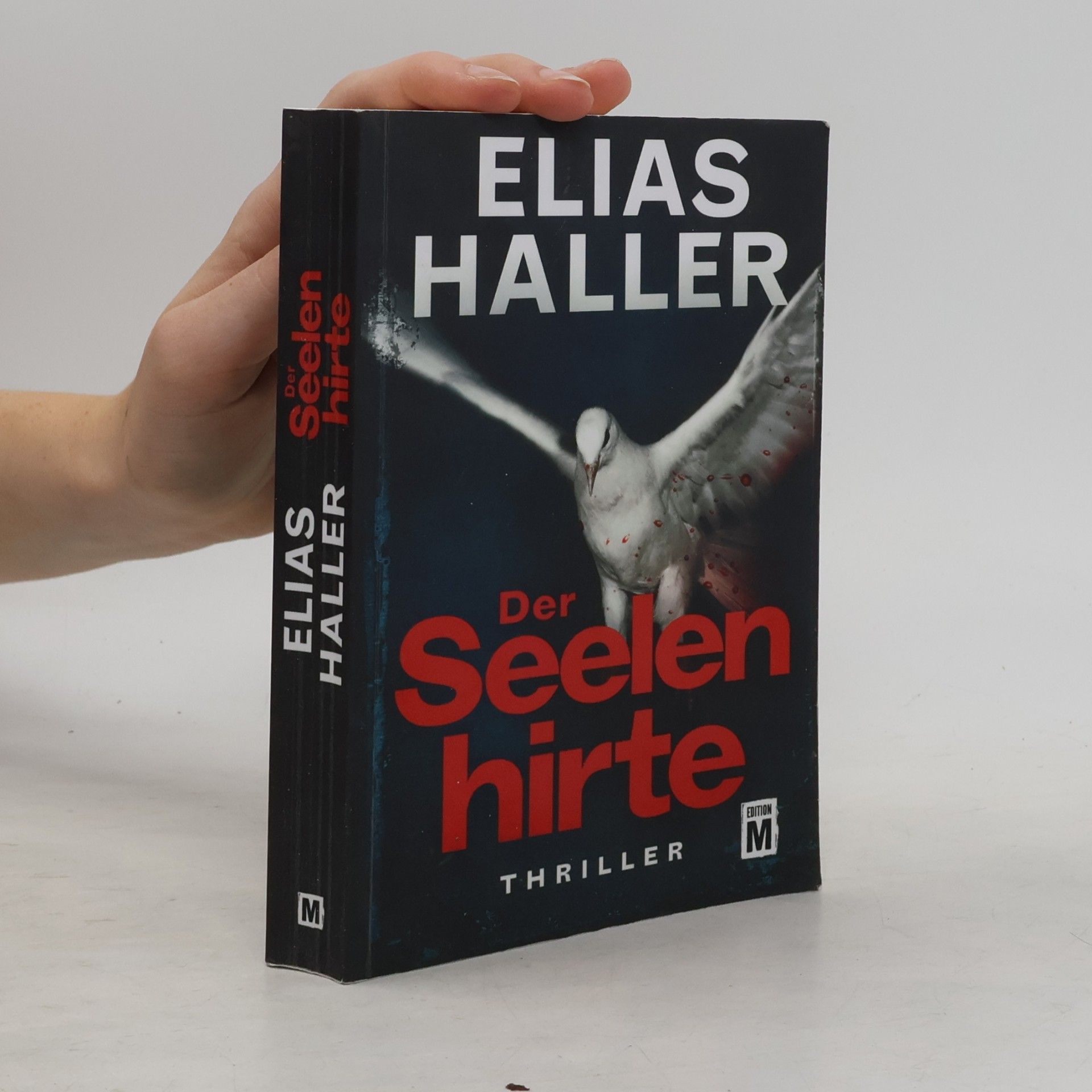 Elias Haller Der Seelenhirte