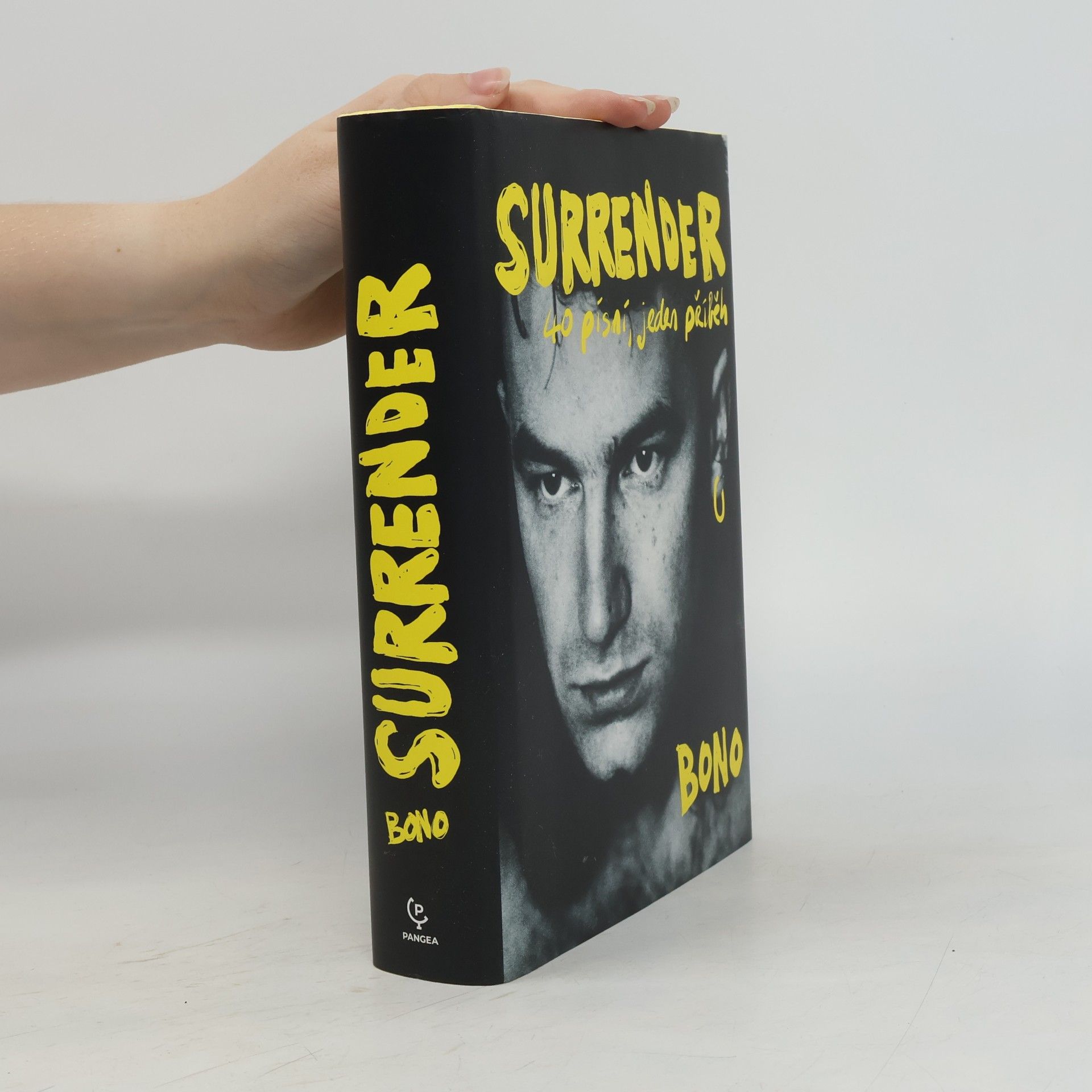 Bono Surrender : 40 písní, jeden příběh