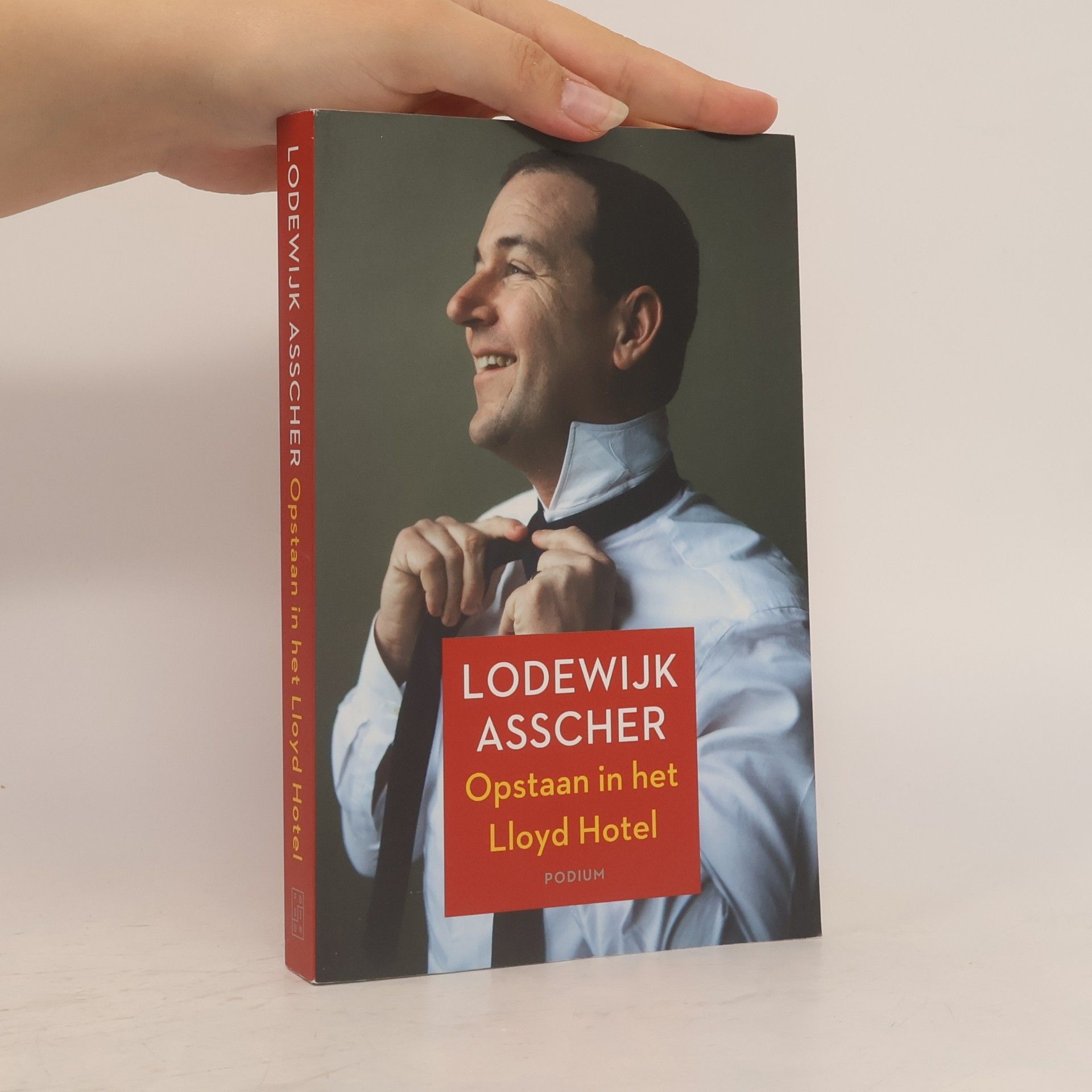 Michiel Zonneveld Opstaan in het Lloyd Hotel