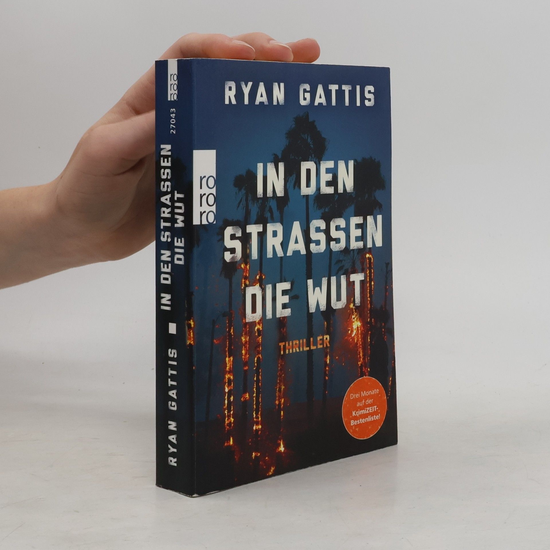 Ryan Gattis In den Straßen die Wut