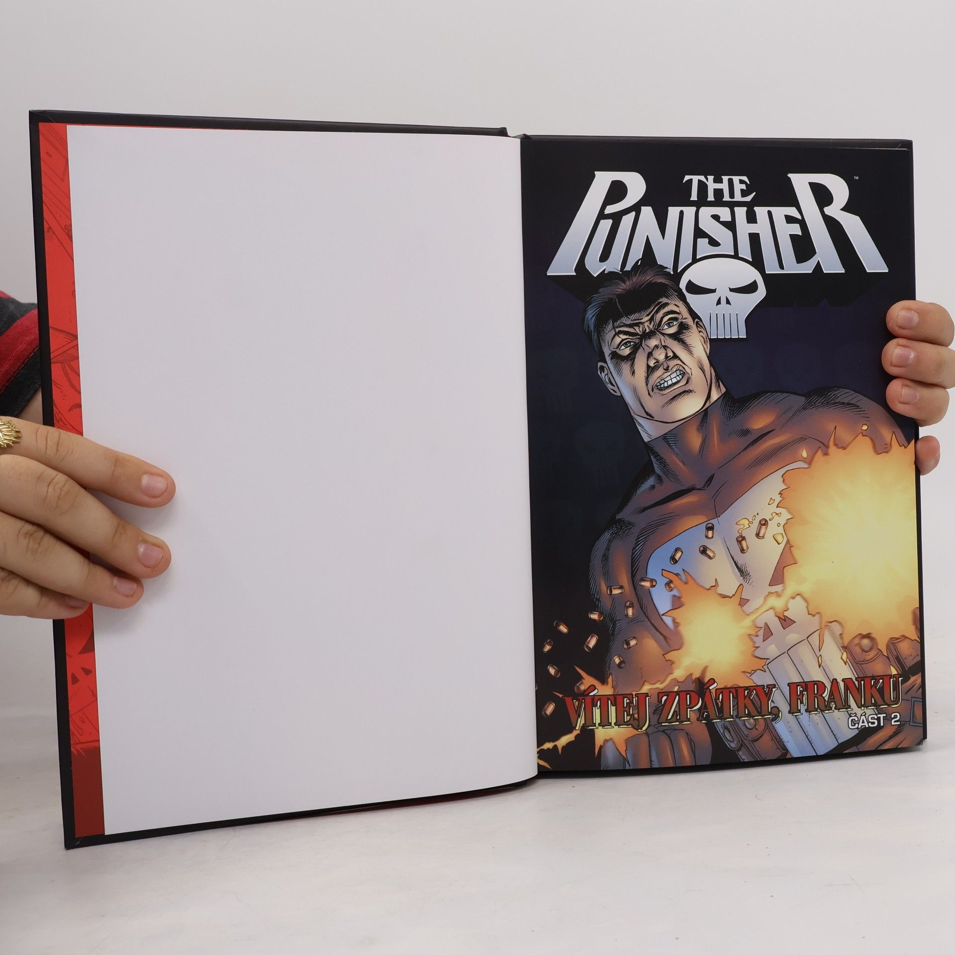 Garth Ennis Ultimátní komiksový komplet 17. The Punisher