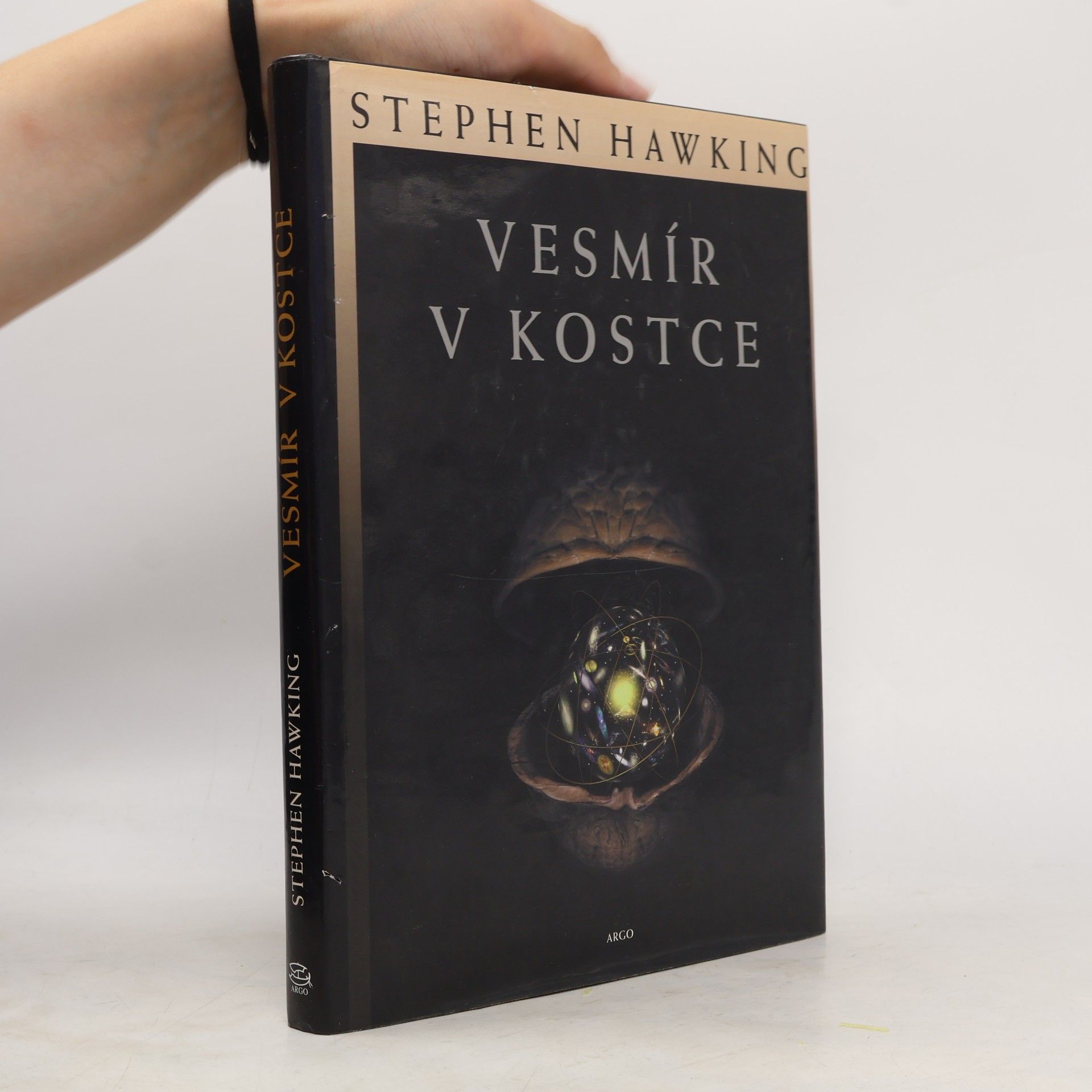 Stephen Hawking Vesmír v kostce
