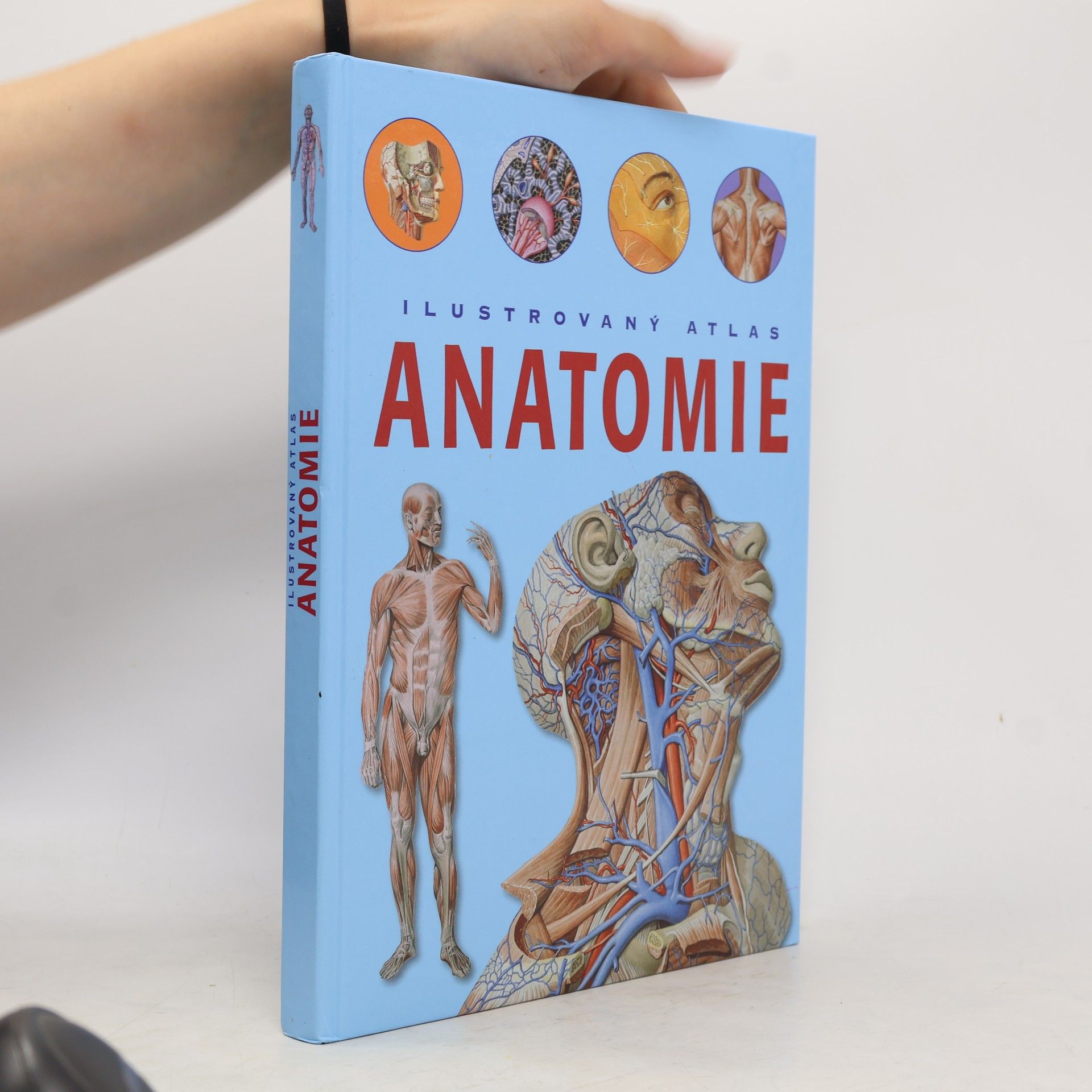 Adriana Rigutti Ilustrovaný atlas anatomie