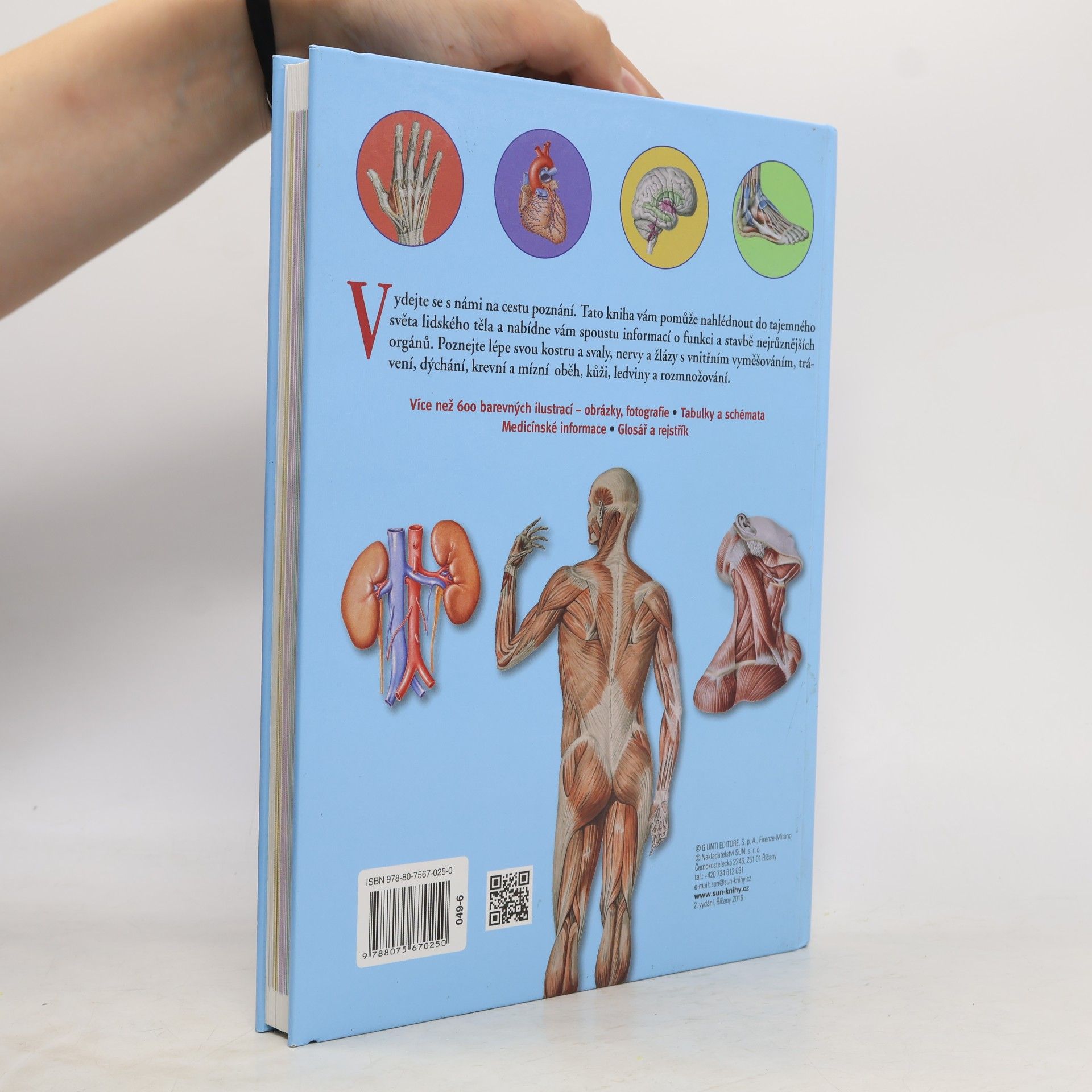 Adriana Rigutti Ilustrovaný atlas anatomie