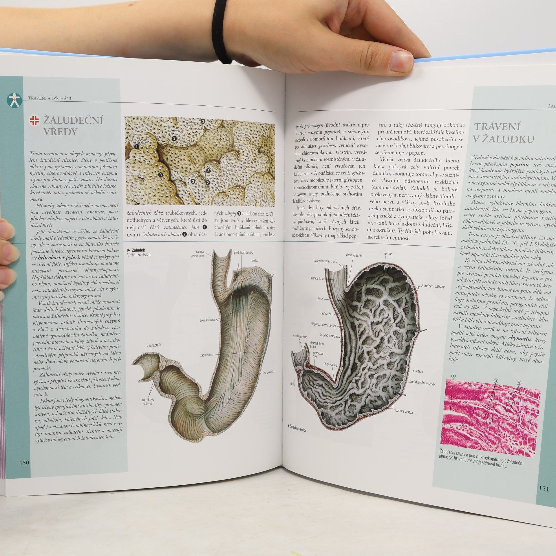 Adriana Rigutti Ilustrovaný atlas anatomie