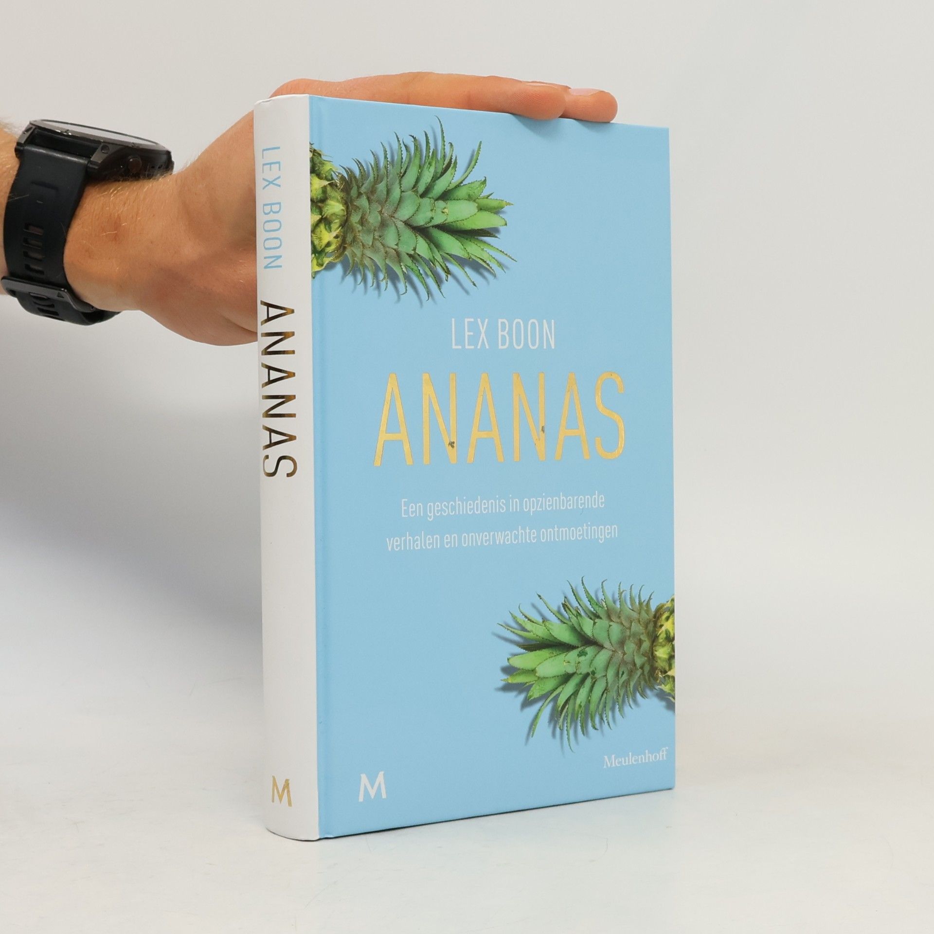 Lex Boon Ananas