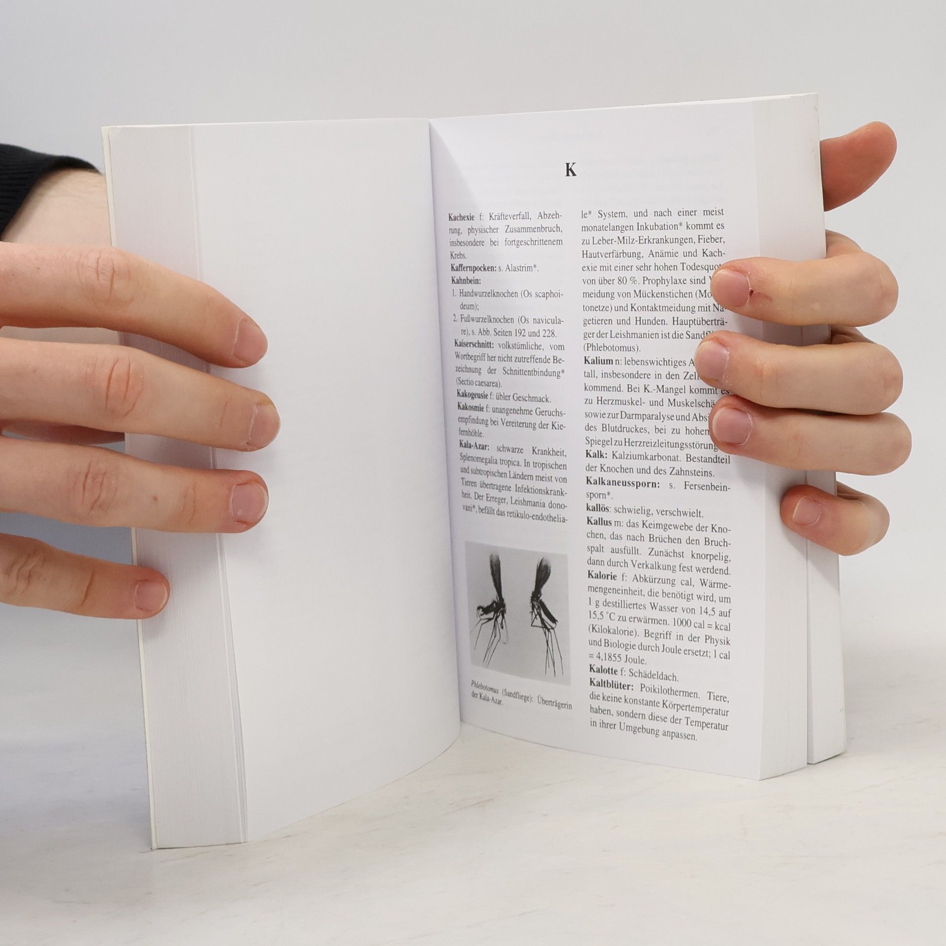 Josef Hammerschmid Gollwitzer Wörterbuch der medizinischen Fachausdrücke