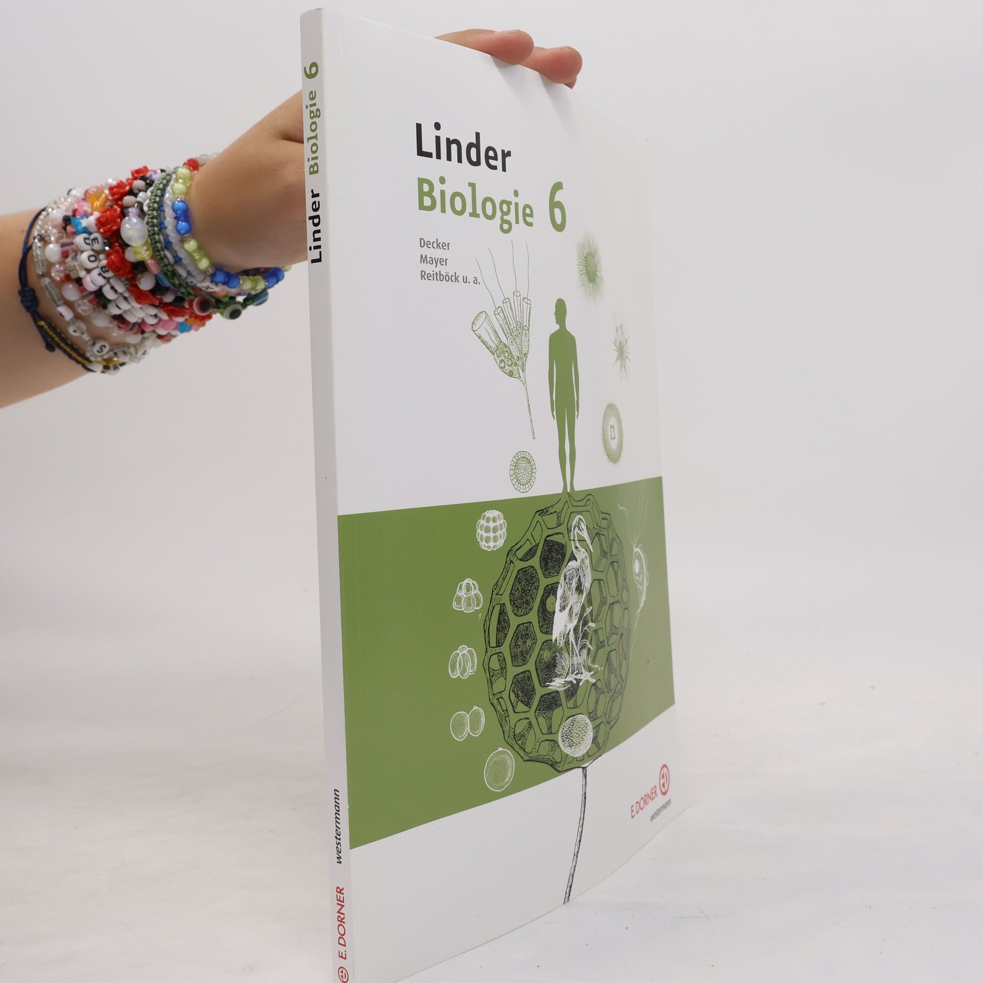 Autorenkollektiv Linder Biologie 6