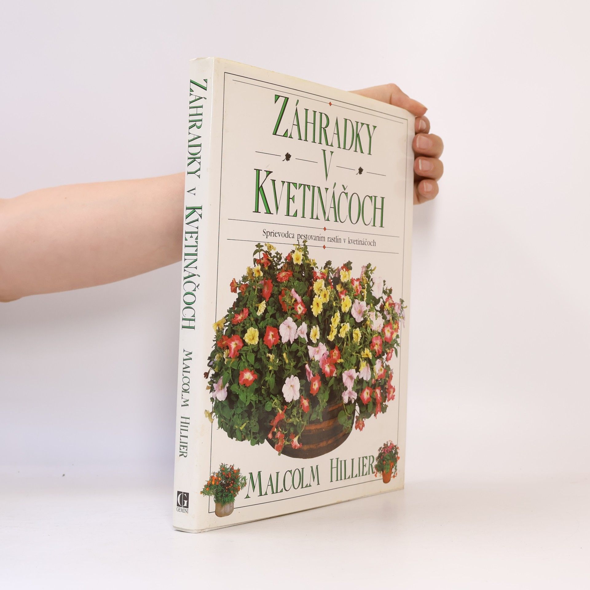 Malcolm Hillier Záhradky v kvetináčoch
