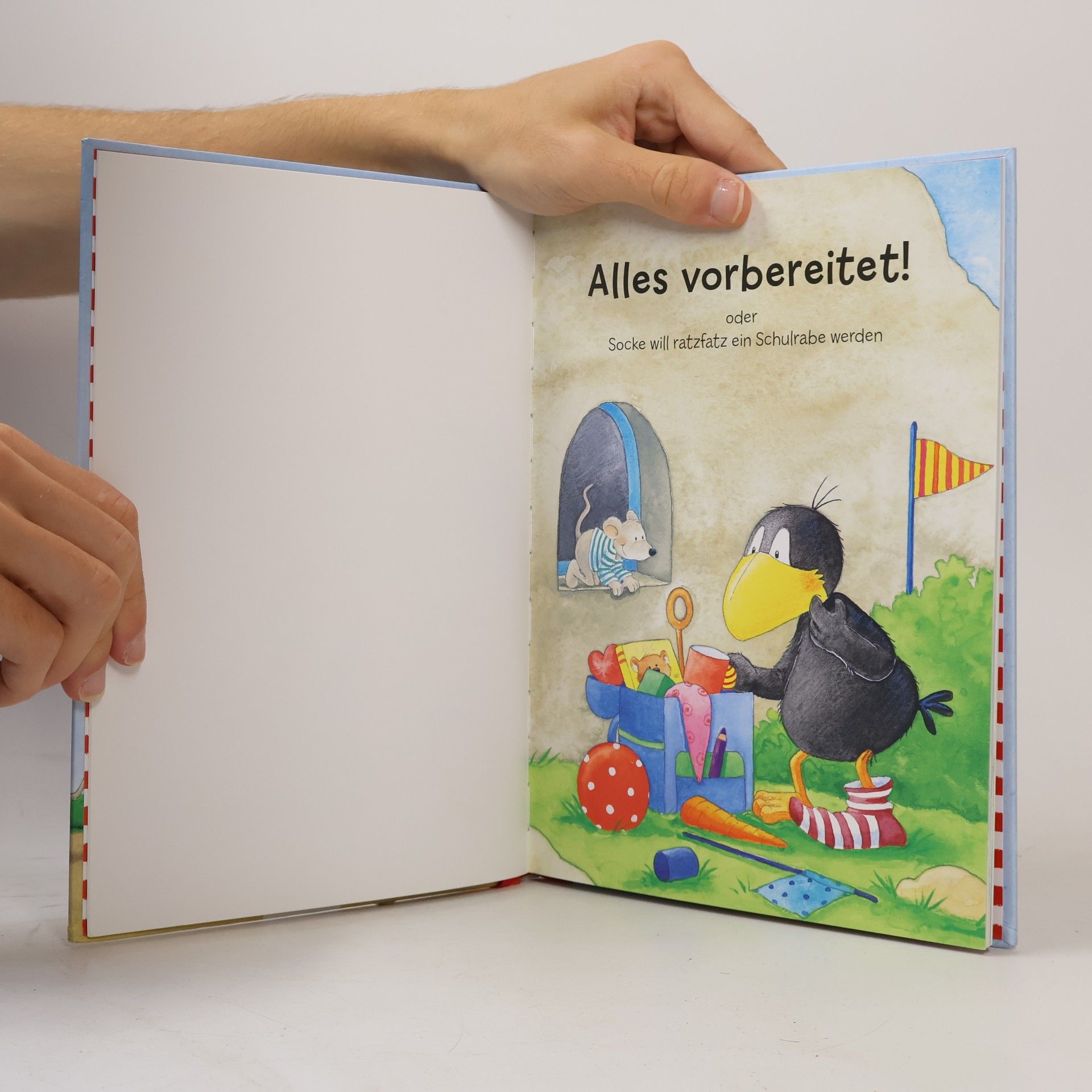 Nele Moost Der kleine Rabe Socke: Alles Schule!