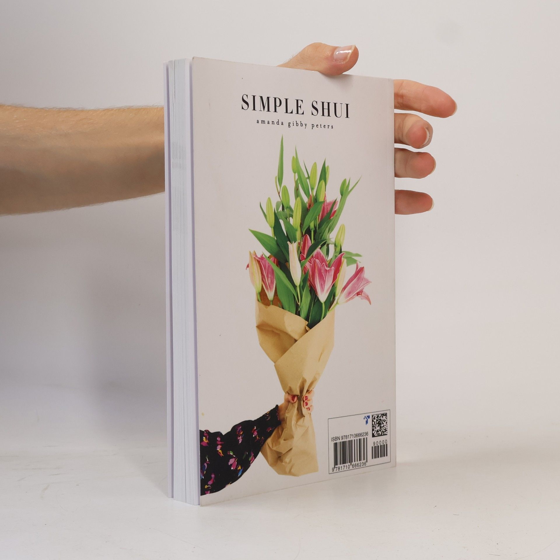 Amanda Gibby Peters Simple Shui for Every Day