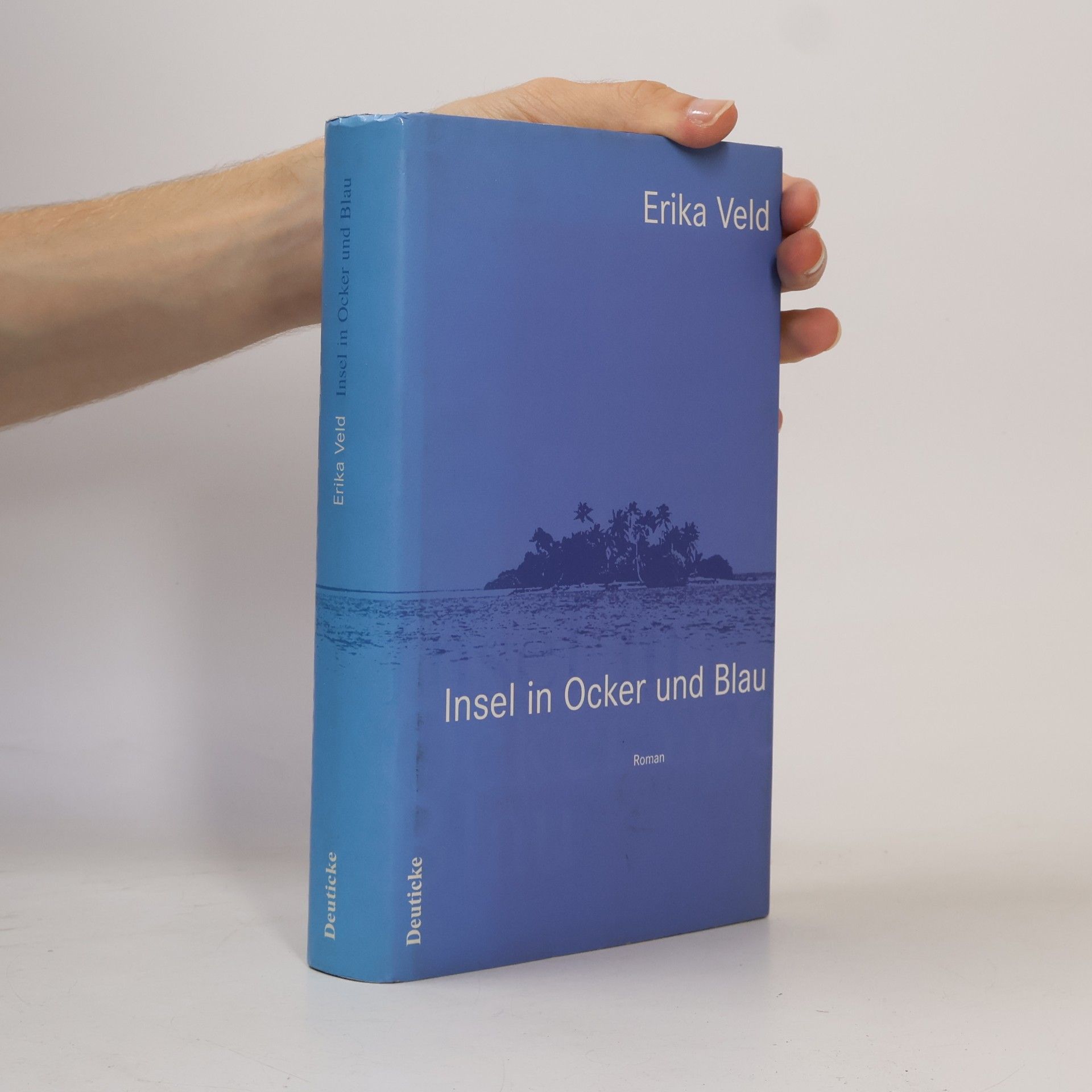 Rosi Wiegmann Insel in Ocker und Blau