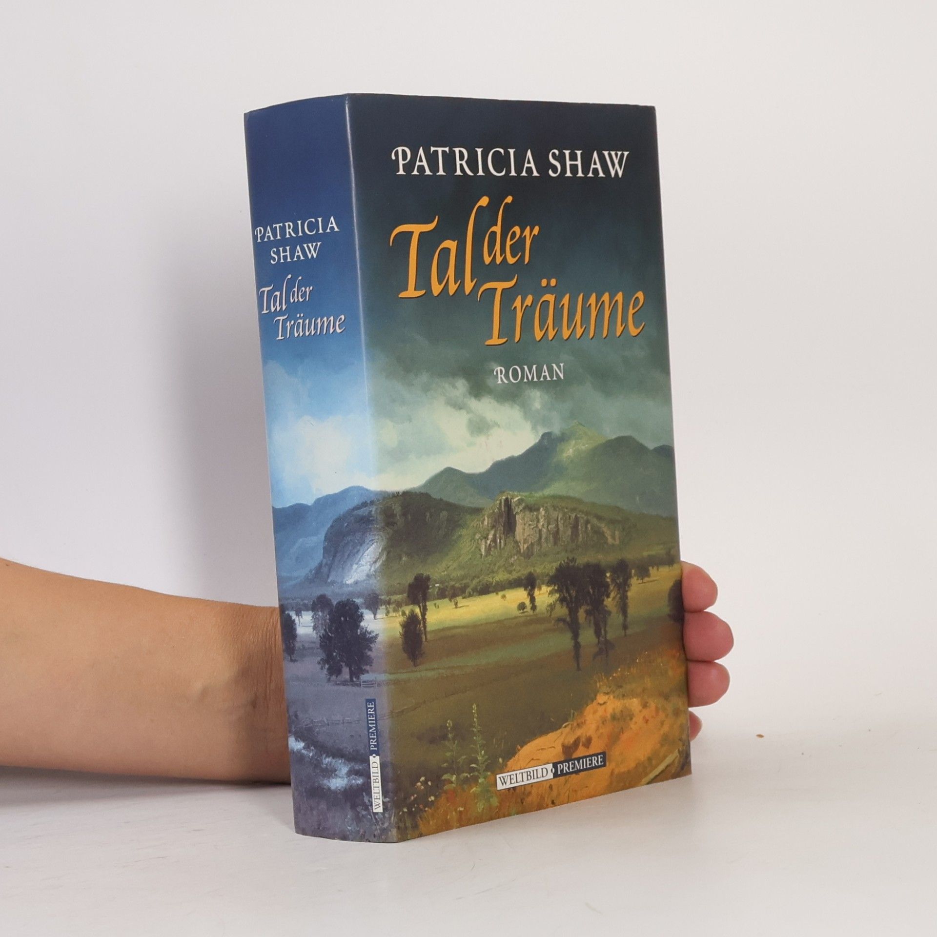 Patricia Shaw Tal der Träume