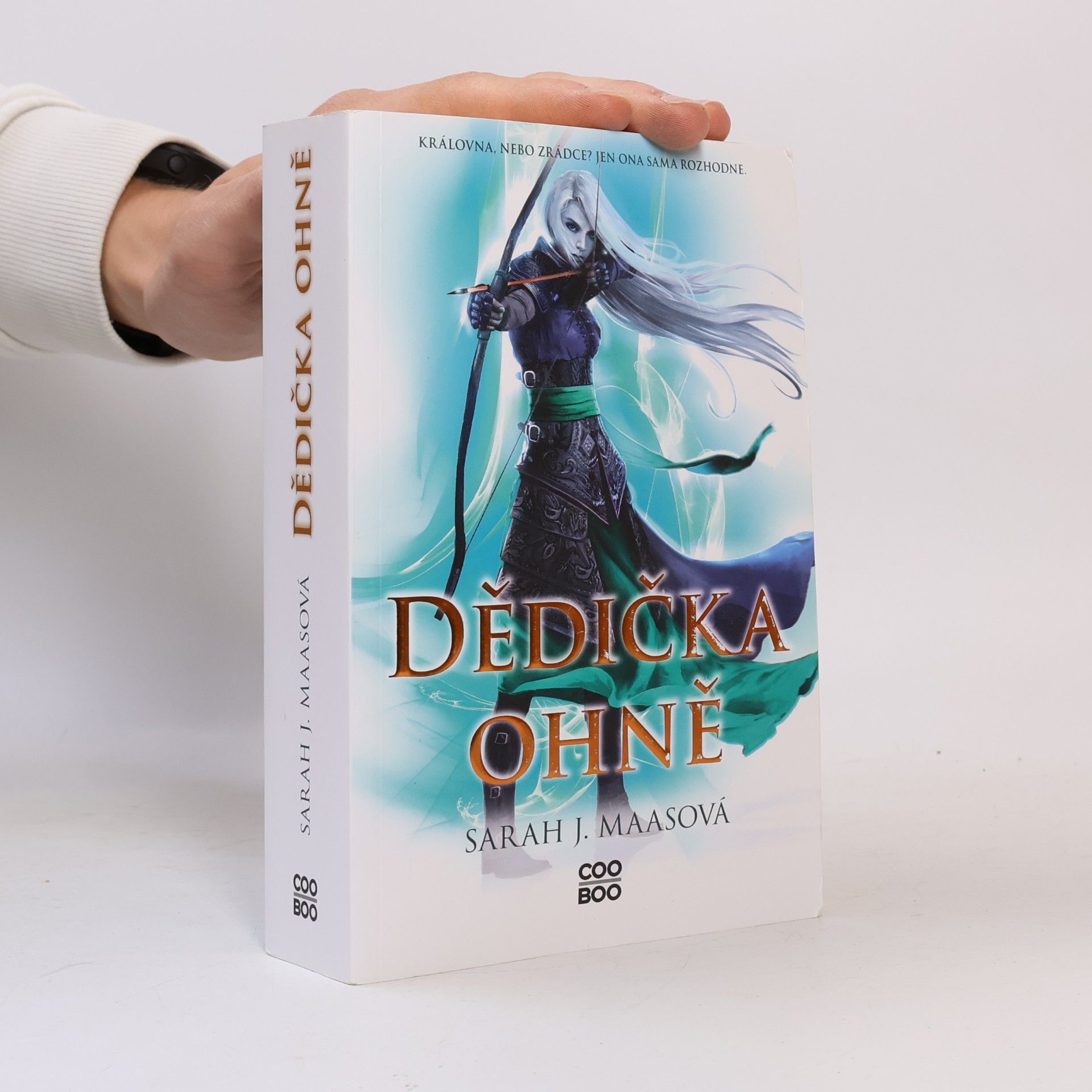 Sarah J. Maas Dědička ohně
