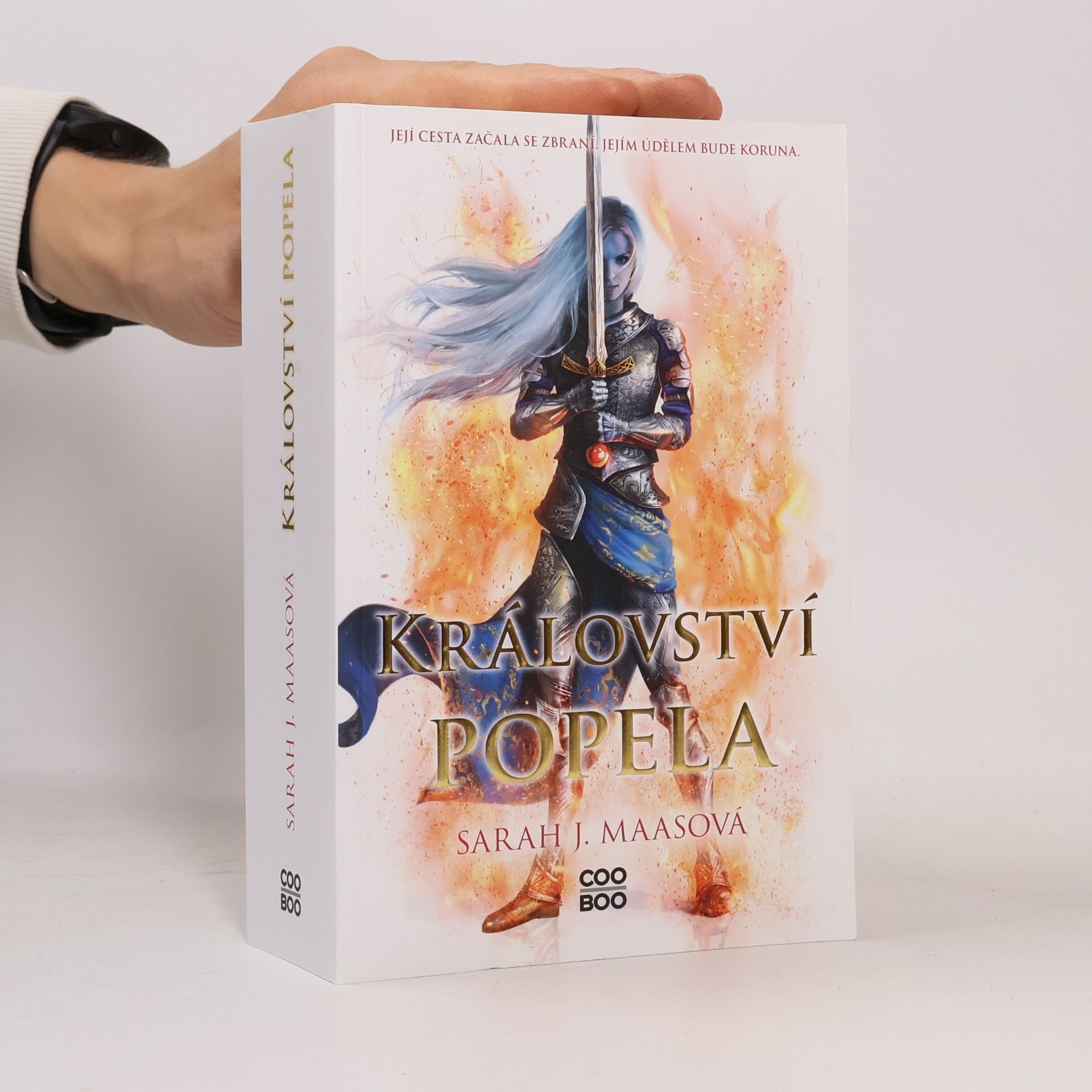 Sarah J. Maas Království popela