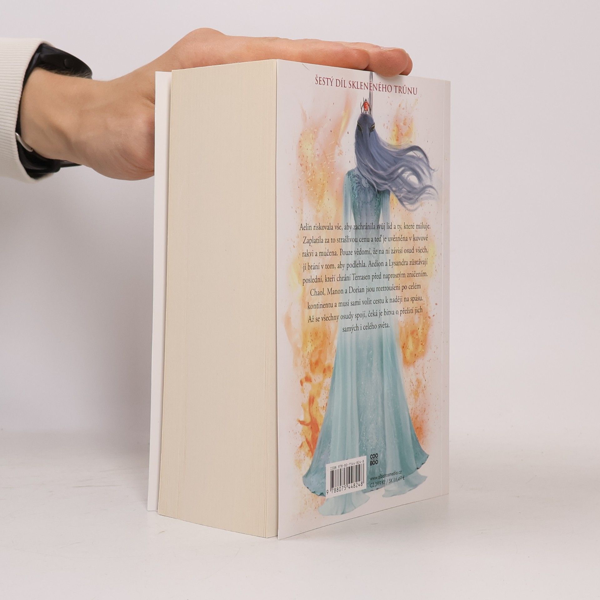 Sarah J. Maas Království popela