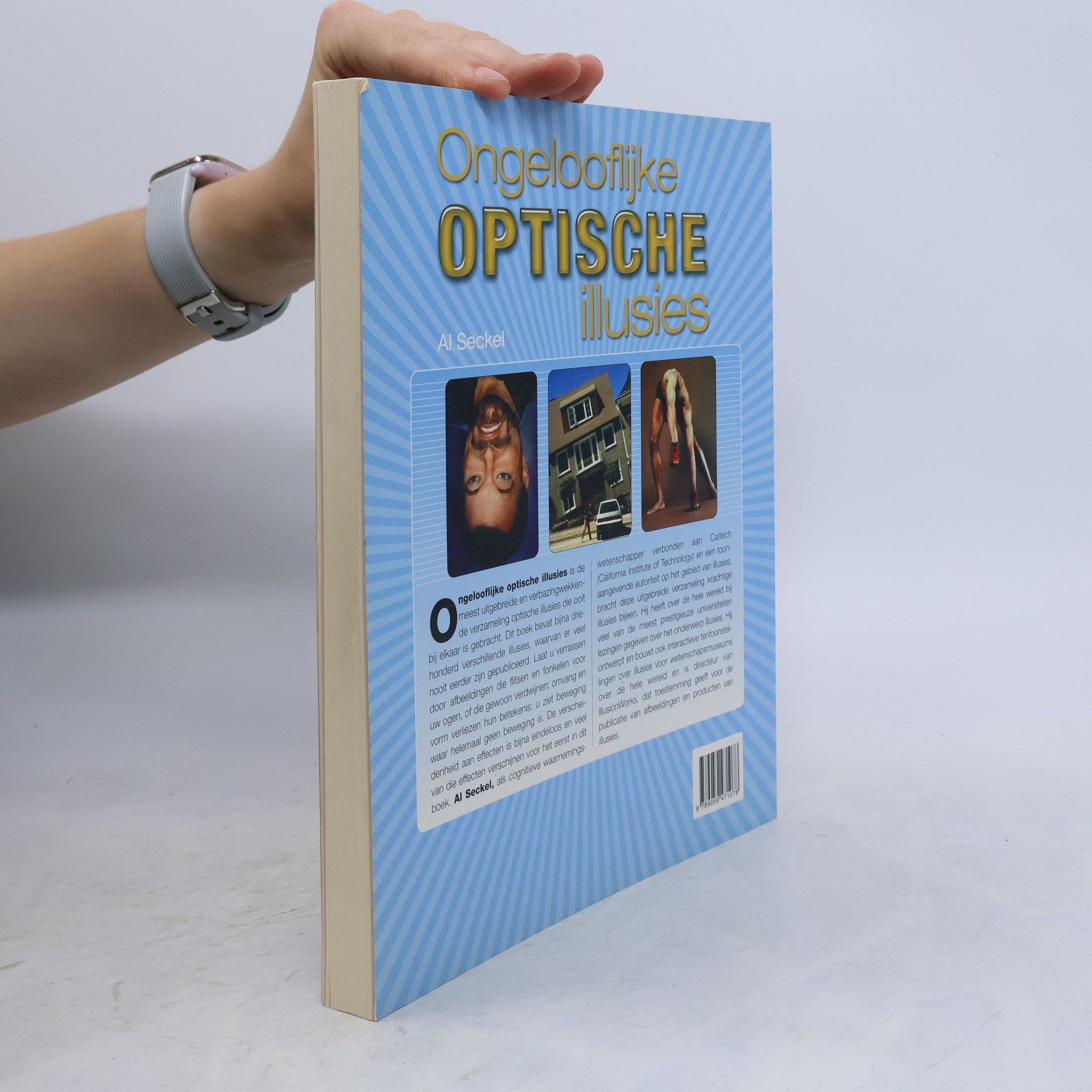 Nicole Seegers Ongelooflijke optische illusies