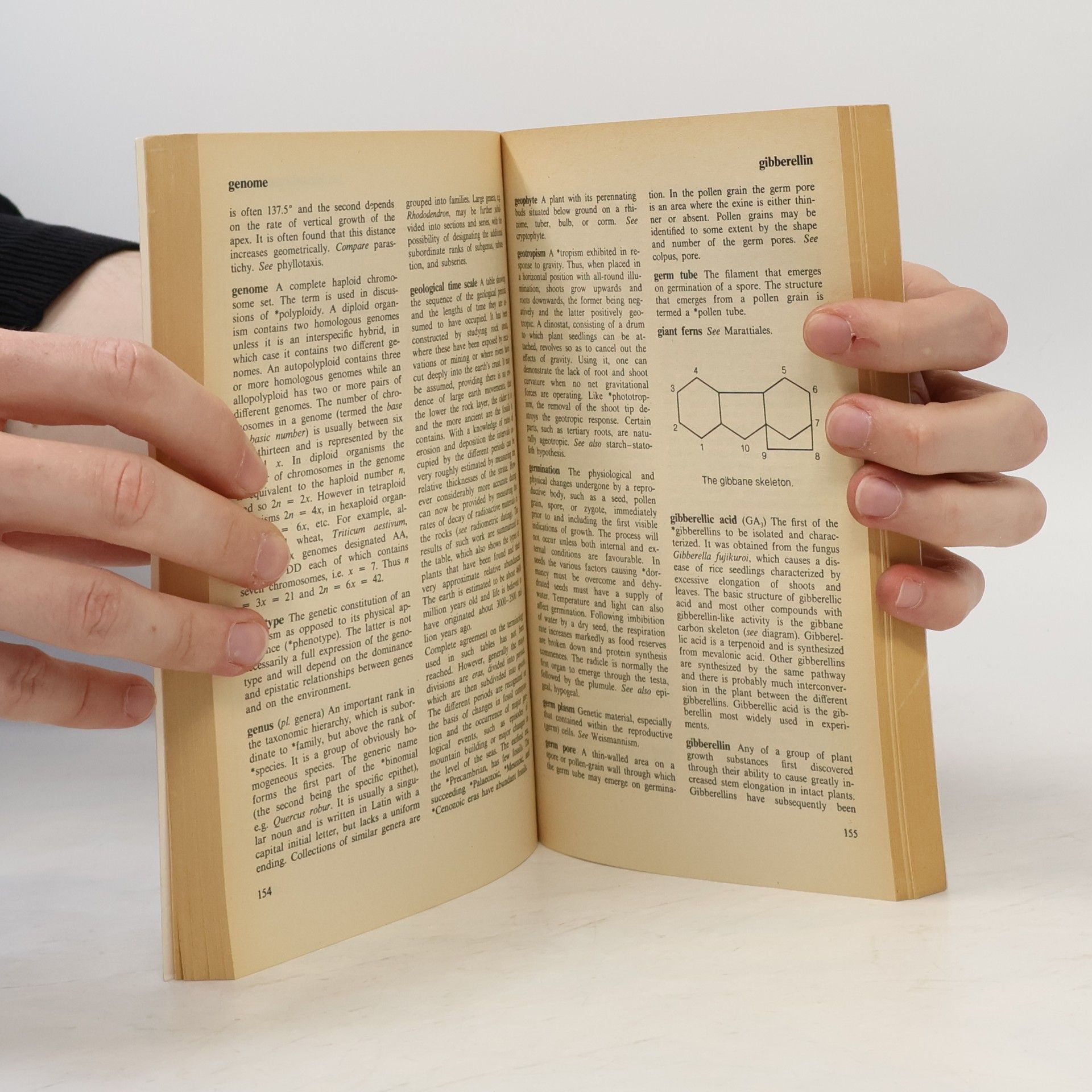 Elizabeth Tootill Dictionary of Botany