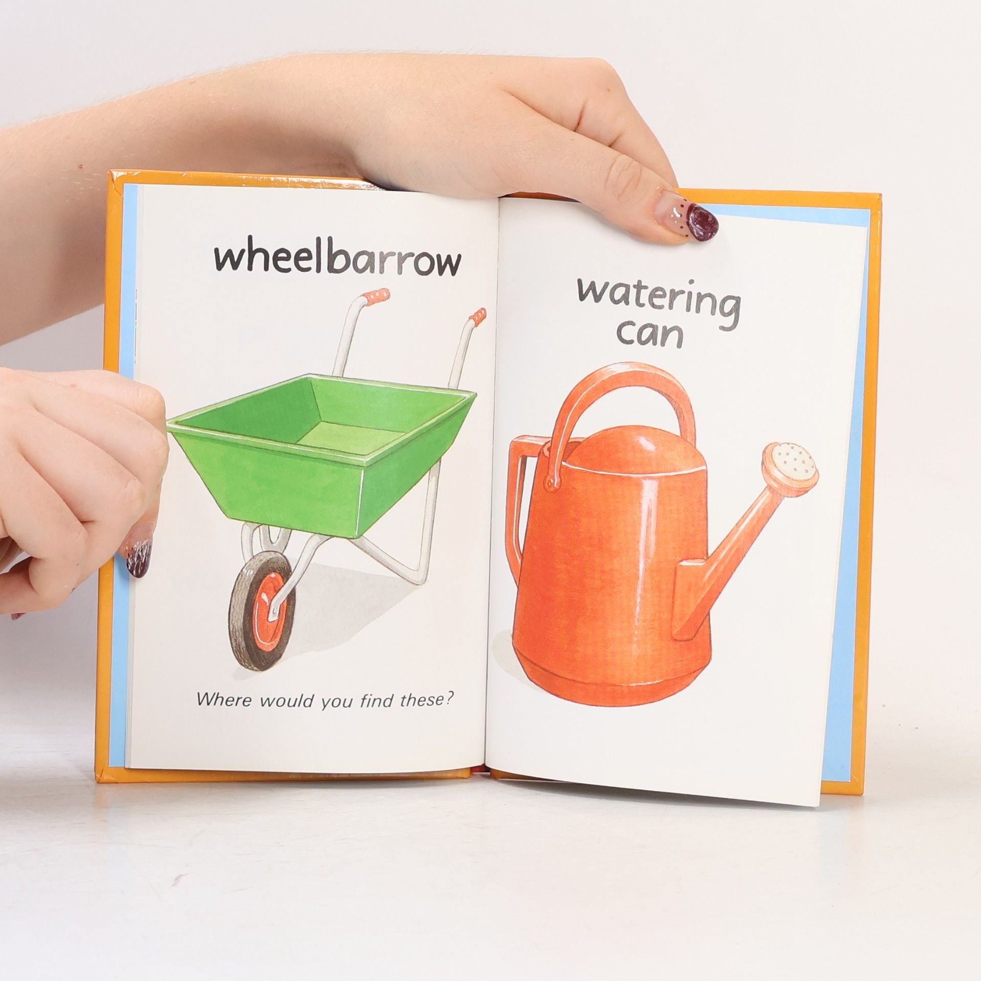 LADYBIRD BOOKS First Word Books: My Picture Words