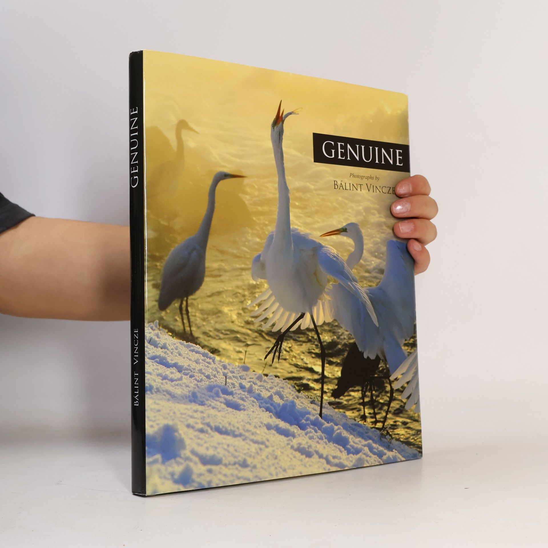 Bob Dent Genuine : the images of four years compressed into four seasons