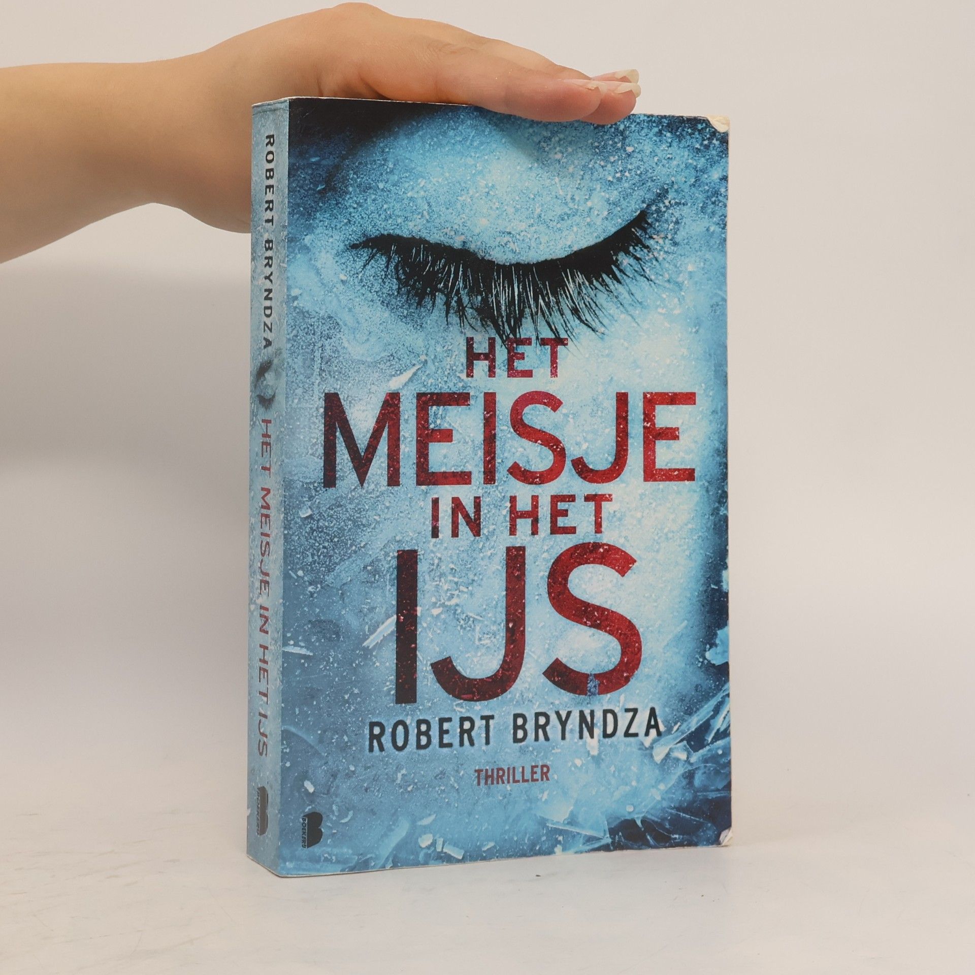 Robert Bryndza Het meisje in het ijs