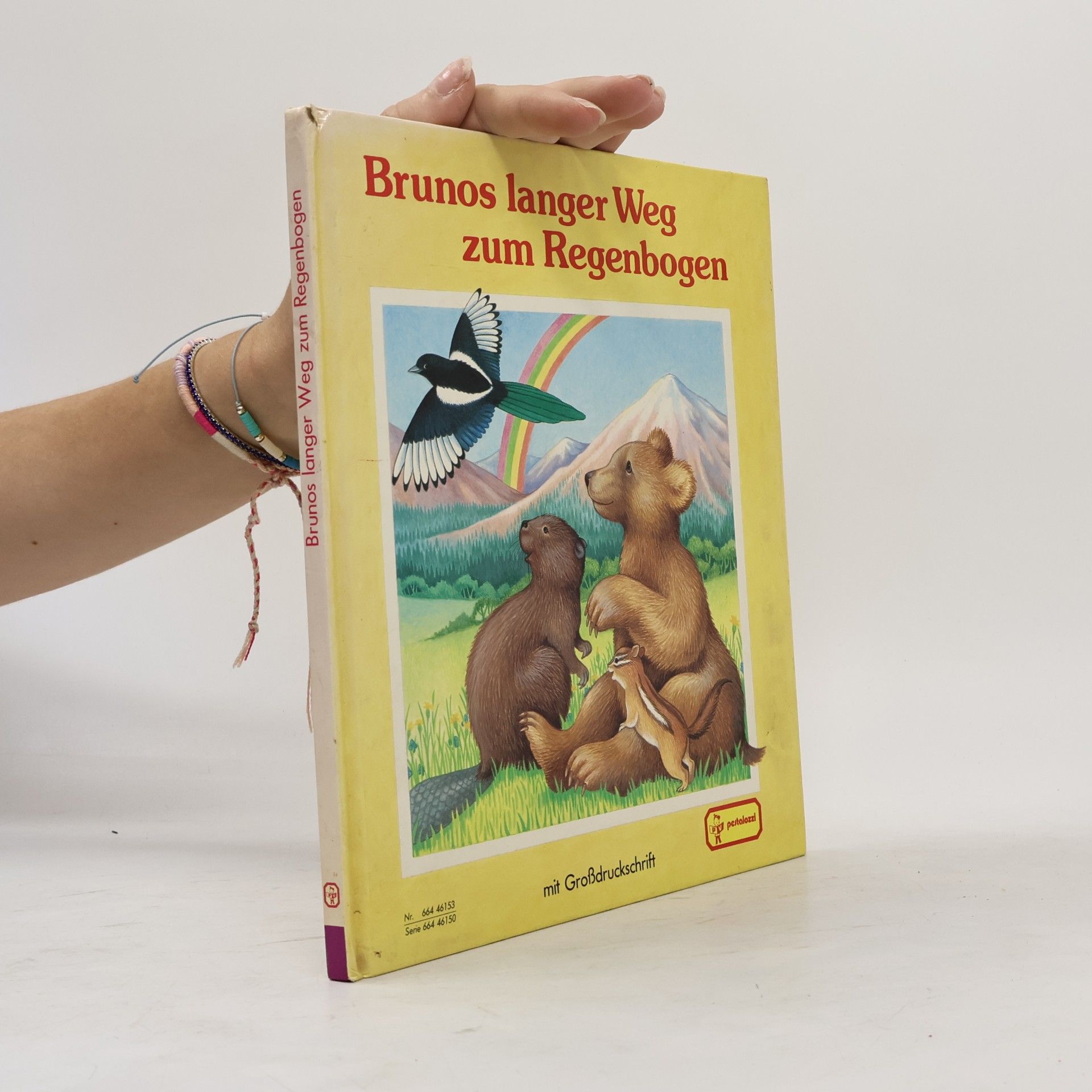 Autores varios Brunos langer Weg zum Regenbogen
