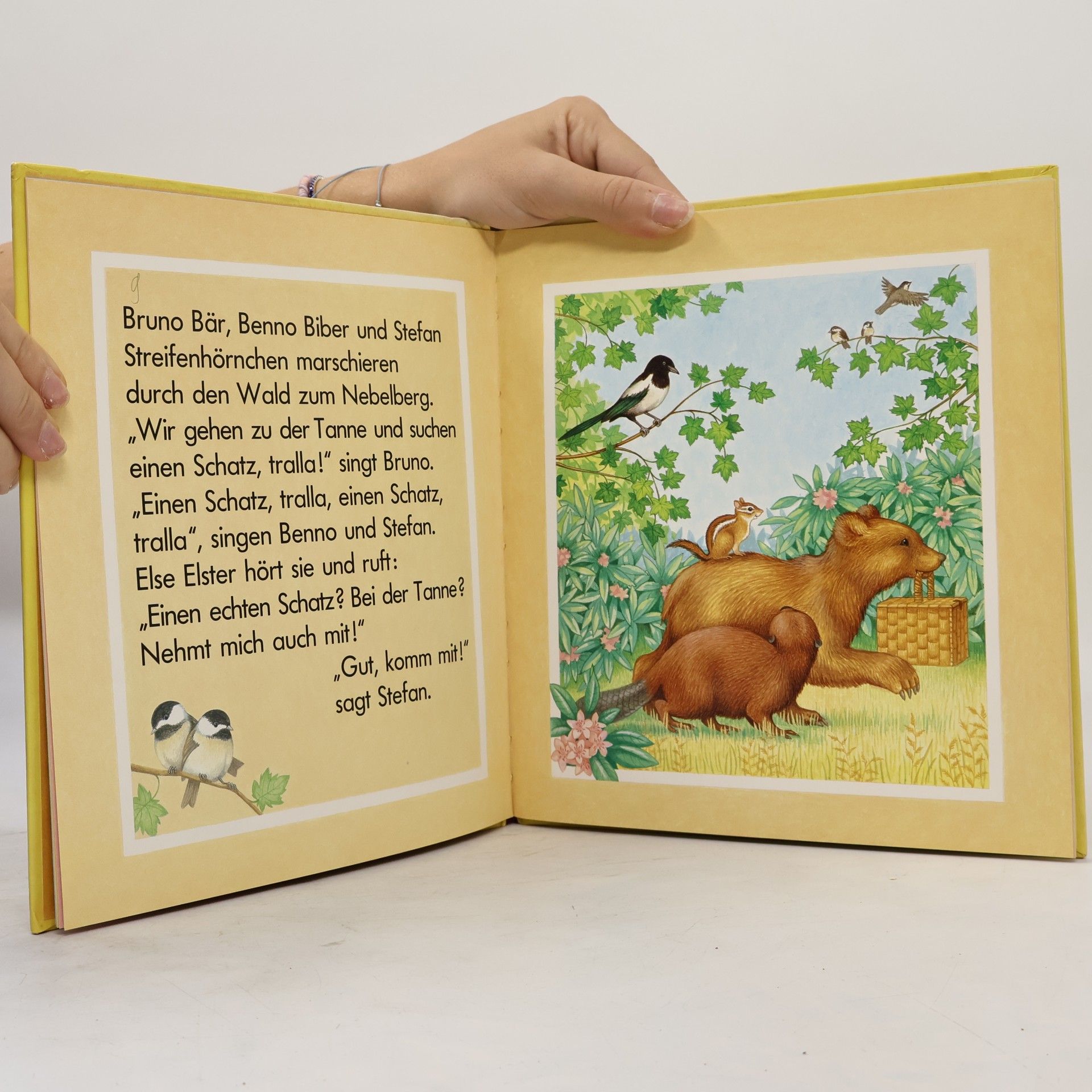Autorenkollektiv Brunos langer Weg zum Regenbogen