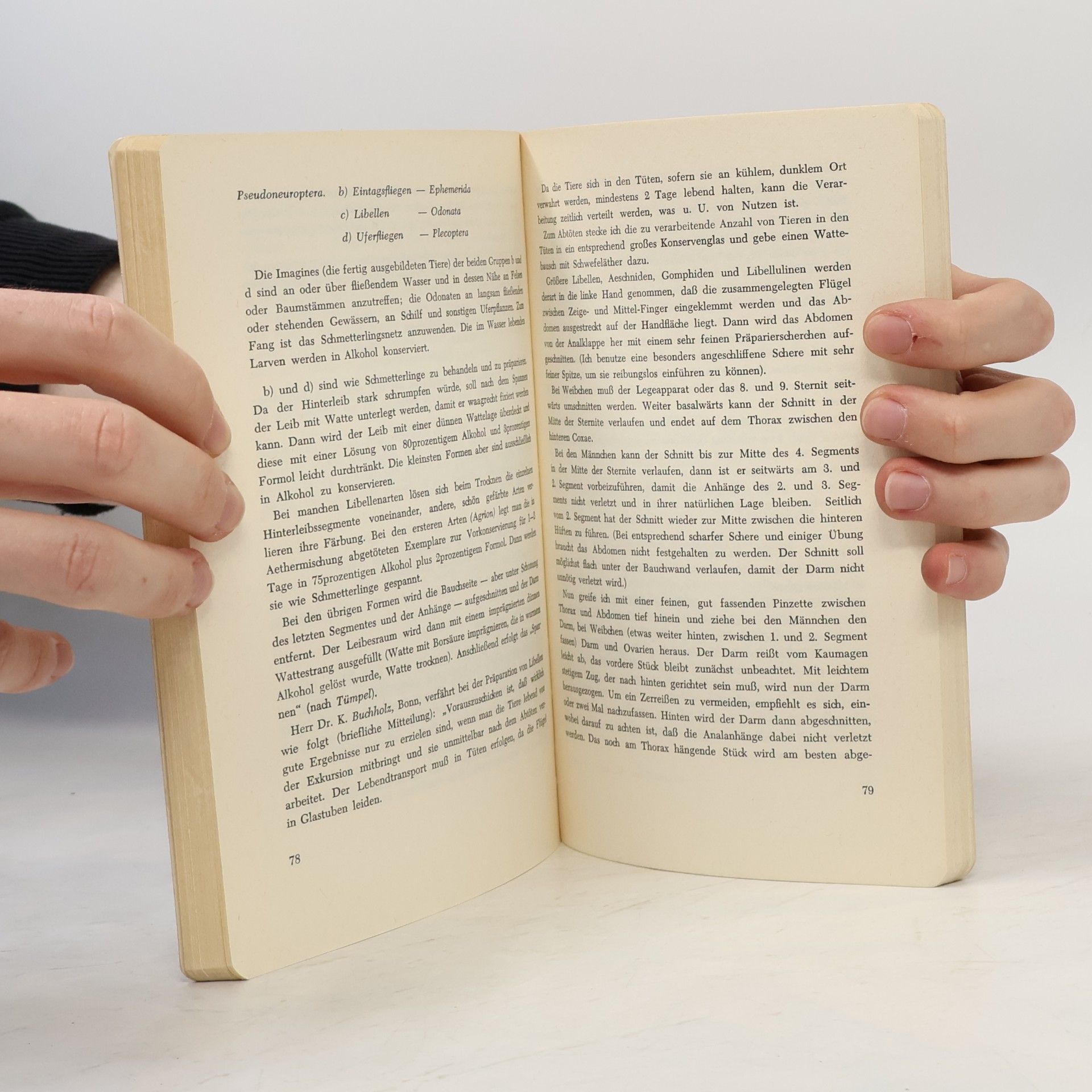 Georg Stehli Sammeln und Präparieren von Tieren