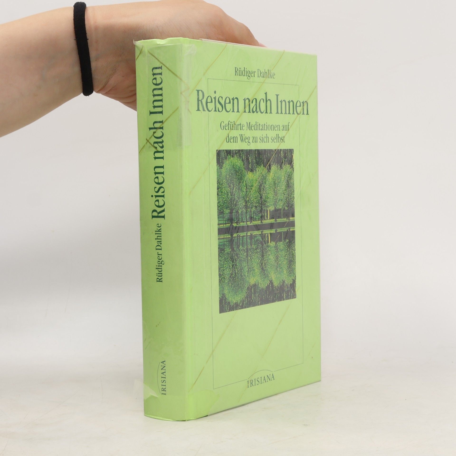 Ruediger Dahlke Reisen nach Innen
