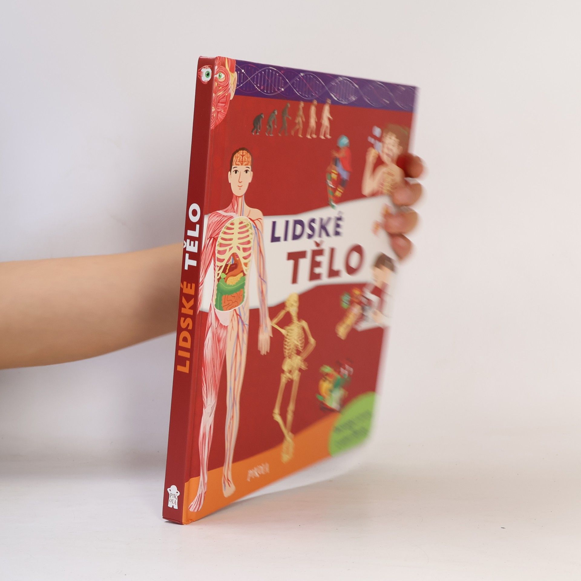 Lidské tělo