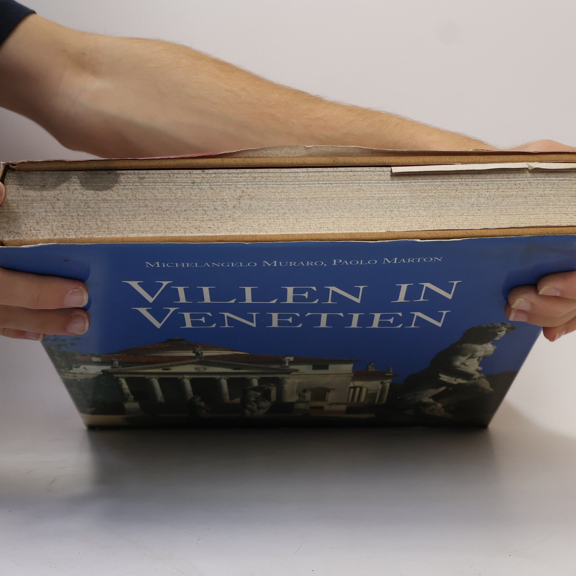 Michelangelo Muraro Villen in Venetien