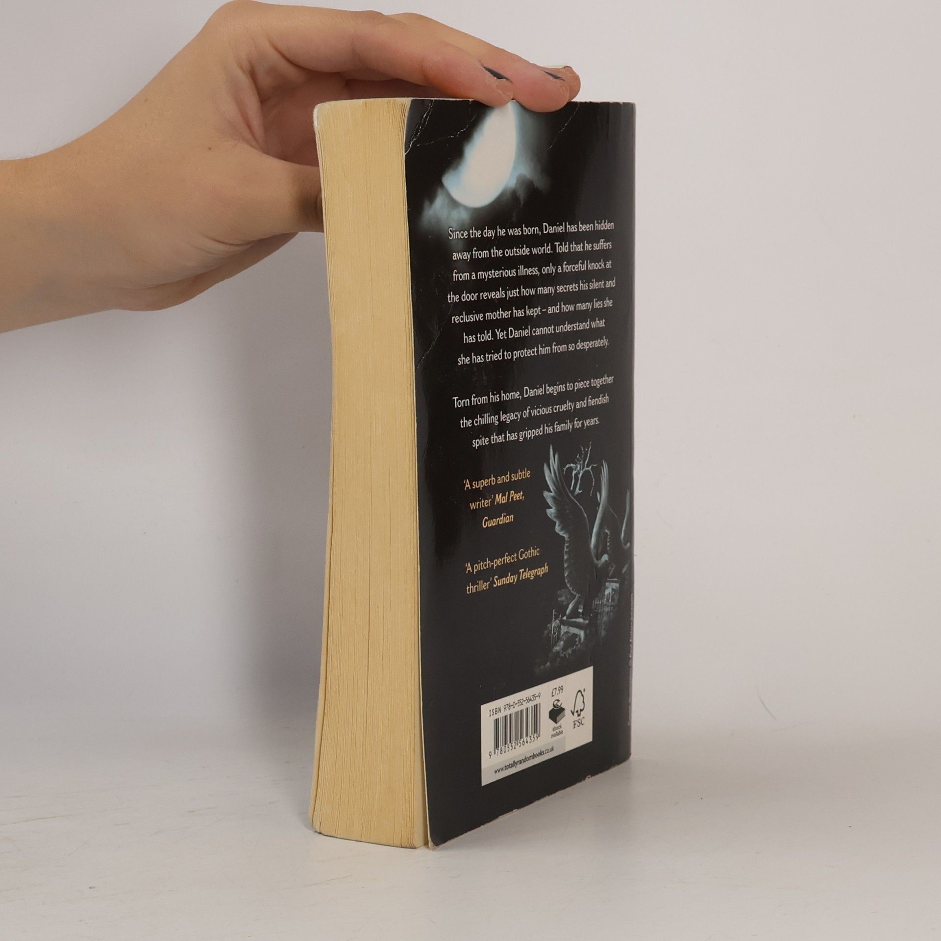 Anne Finne The Devil Walks