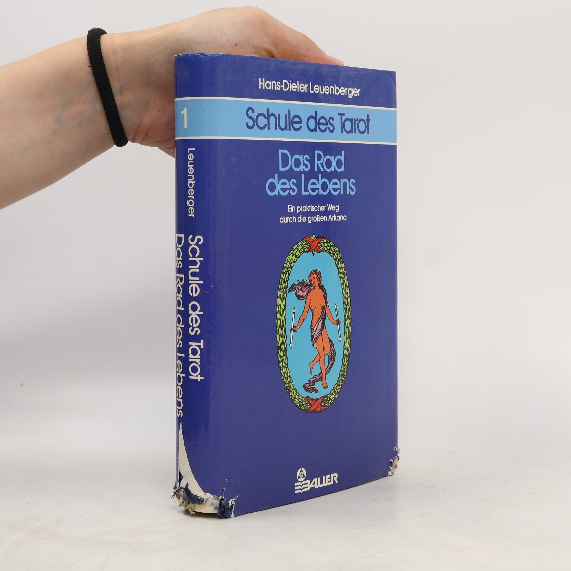 Hans-Dieter Leuenberger Schule des Tarot – Band 1: Das Rad des Lebens