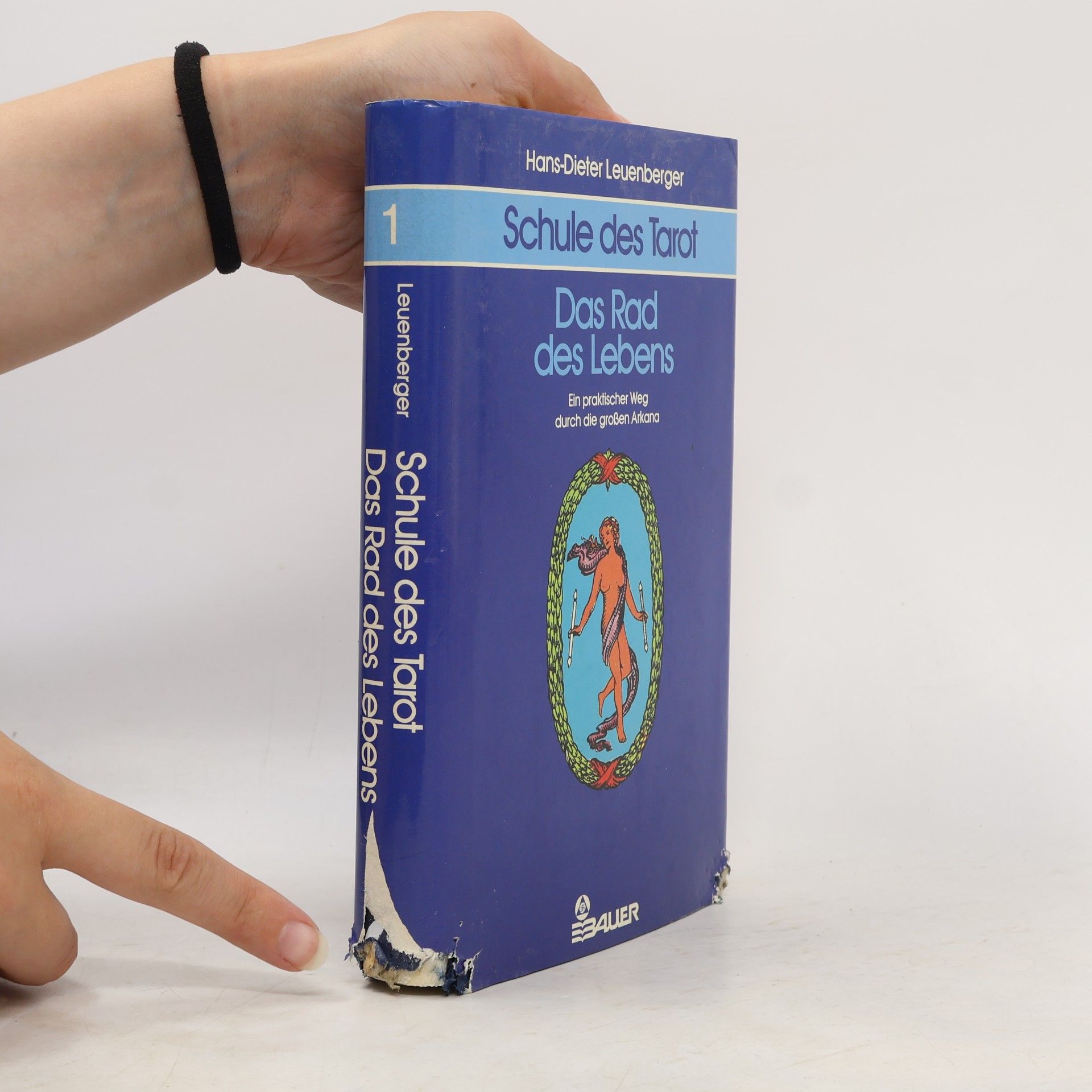 Hans-Dieter Leuenberger Schule des Tarot – Band 1: Das Rad des Lebens