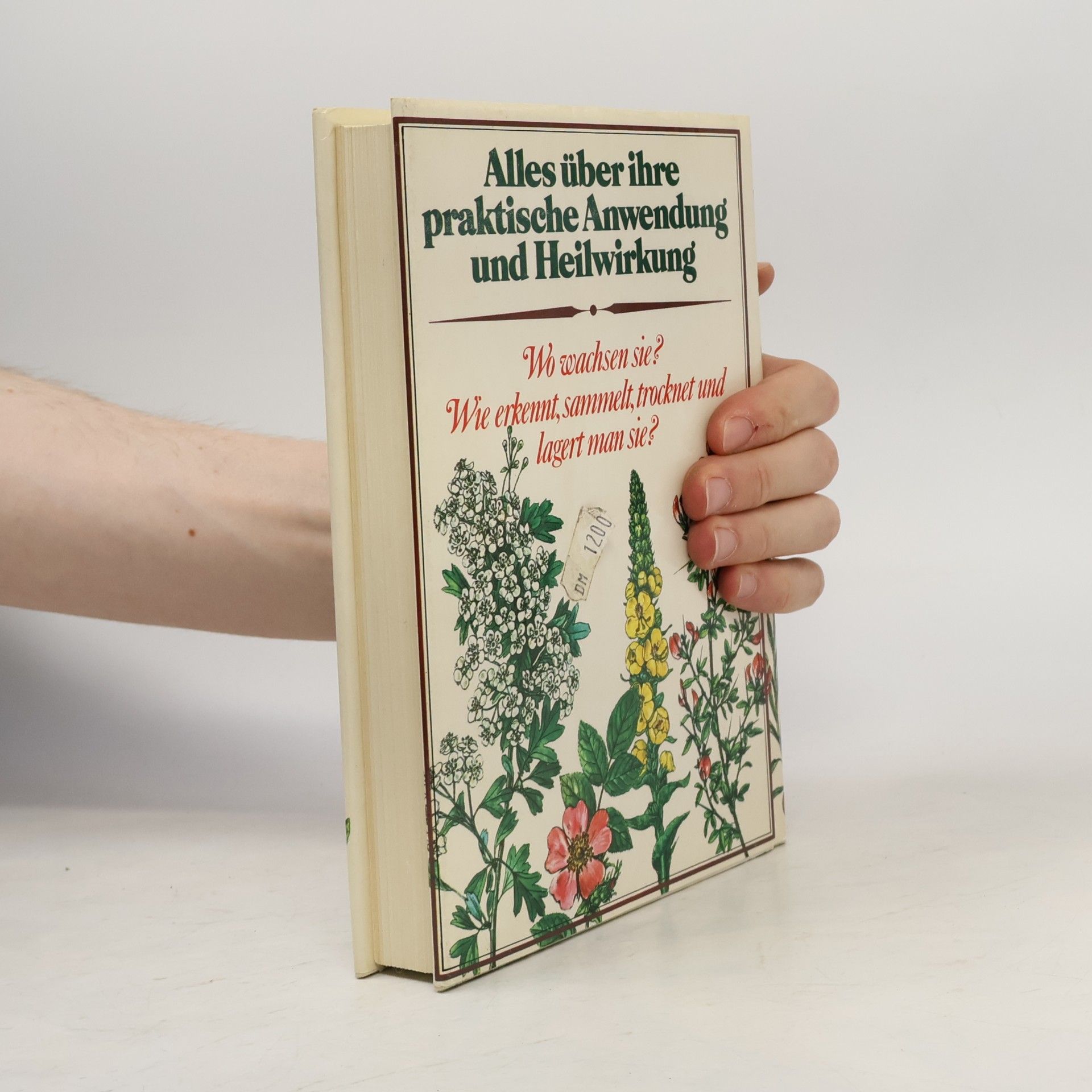 Autores varios Lexikon der Heilpflanzen