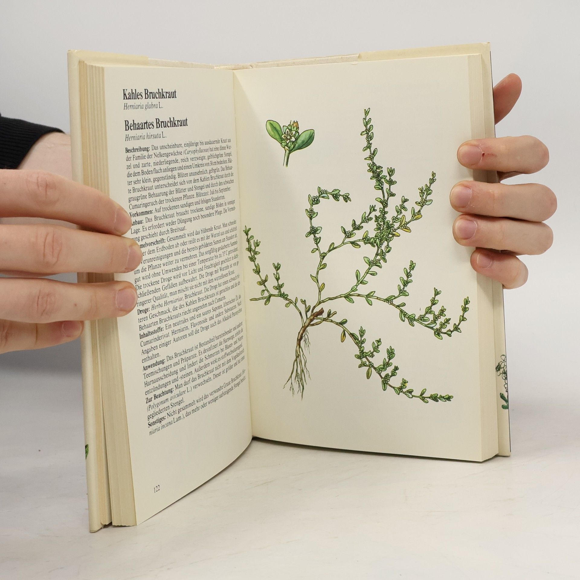 Autores varios Lexikon der Heilpflanzen