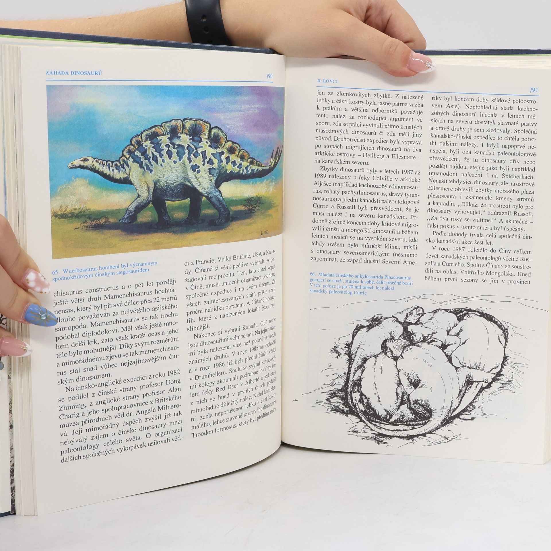 Jaroslav Mareš Záhada dinosaurů