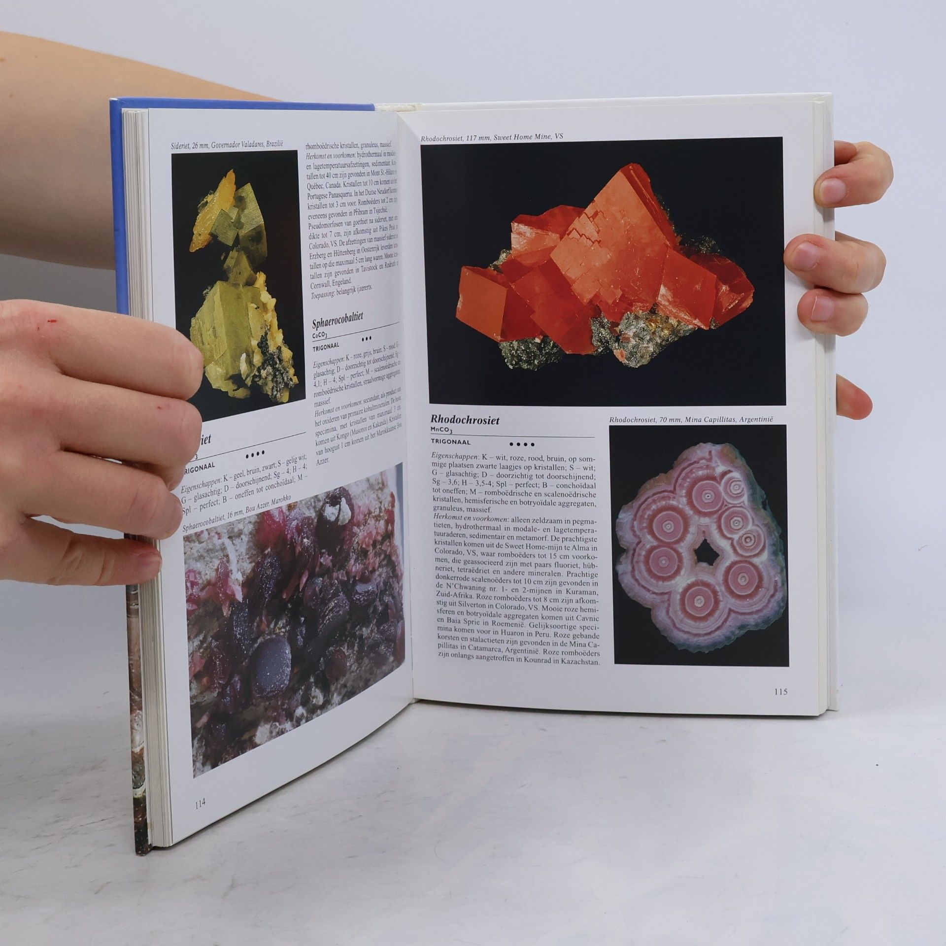 Petr Korbel Geïllustreerde mineralen encyclopedie