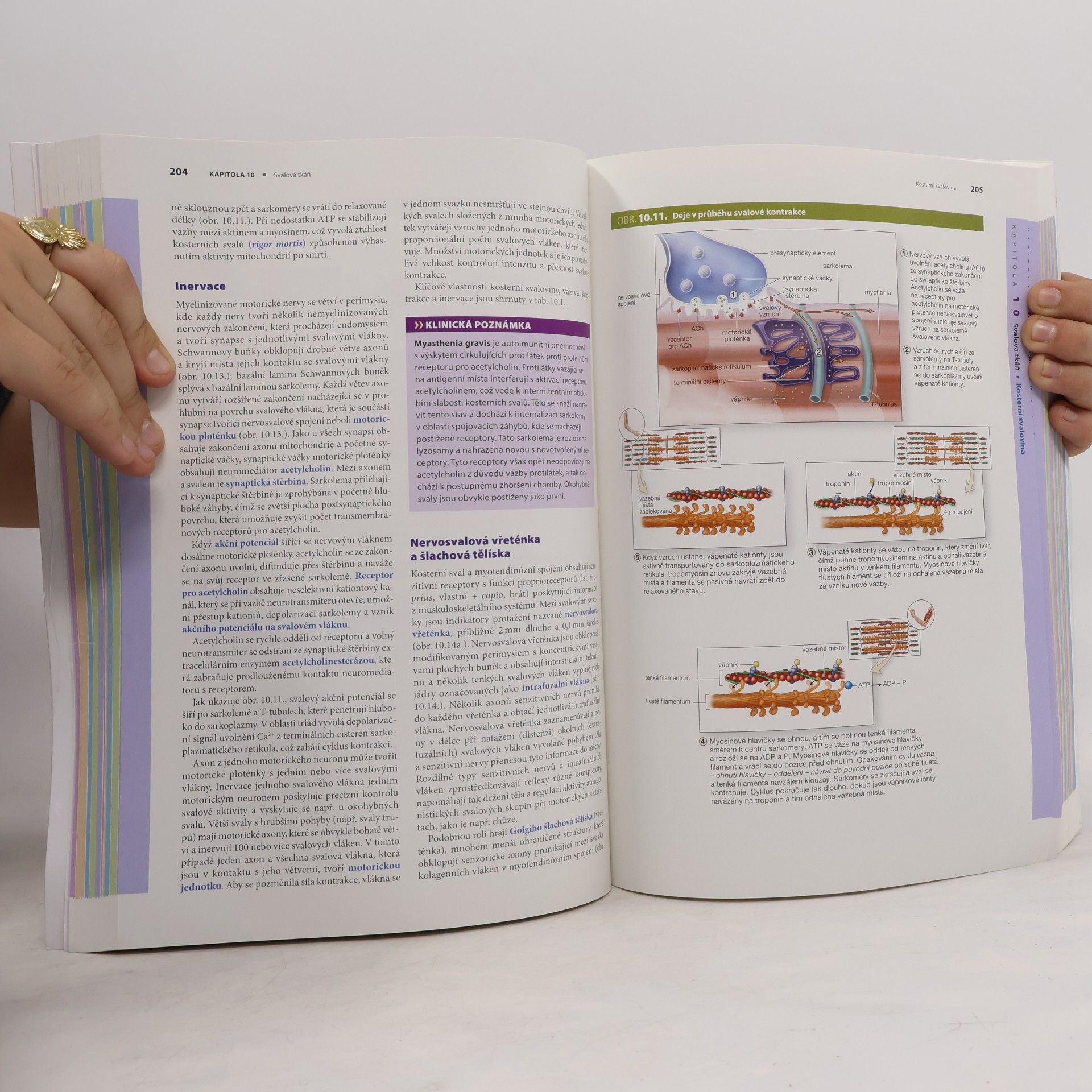 Anthony L. Mescher Junqueirovy základy histologie