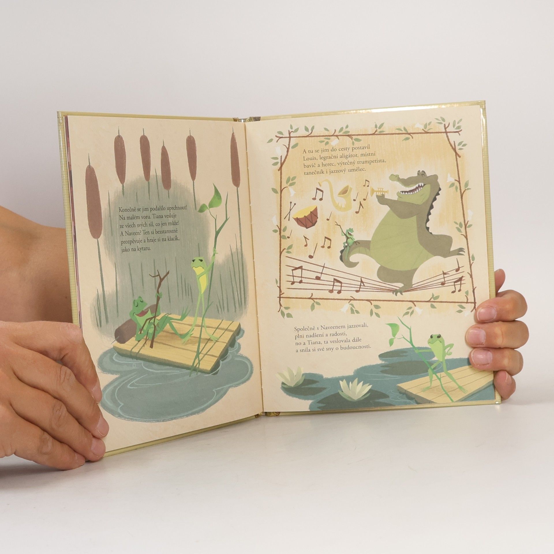 Various authors Zlatá sbírka pohádek 13. Princezna a žabák