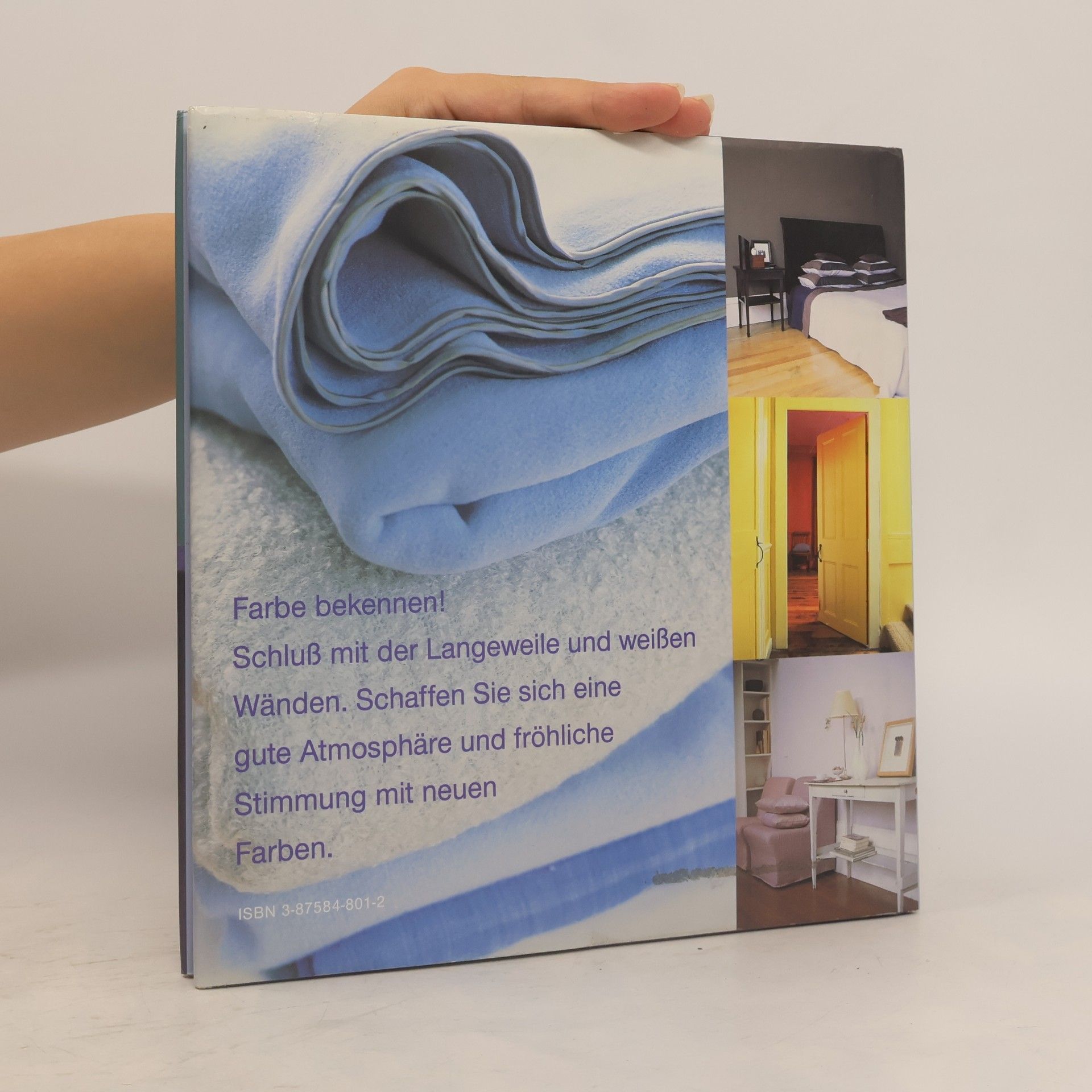 Joanna Copestick Wohnen mit Farbe