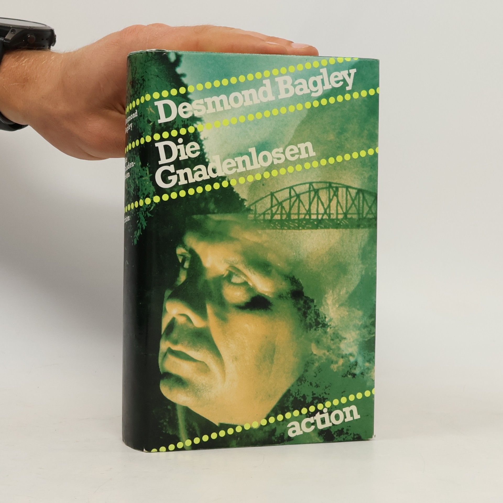 Desmond Bagley Die Gnadenlosen