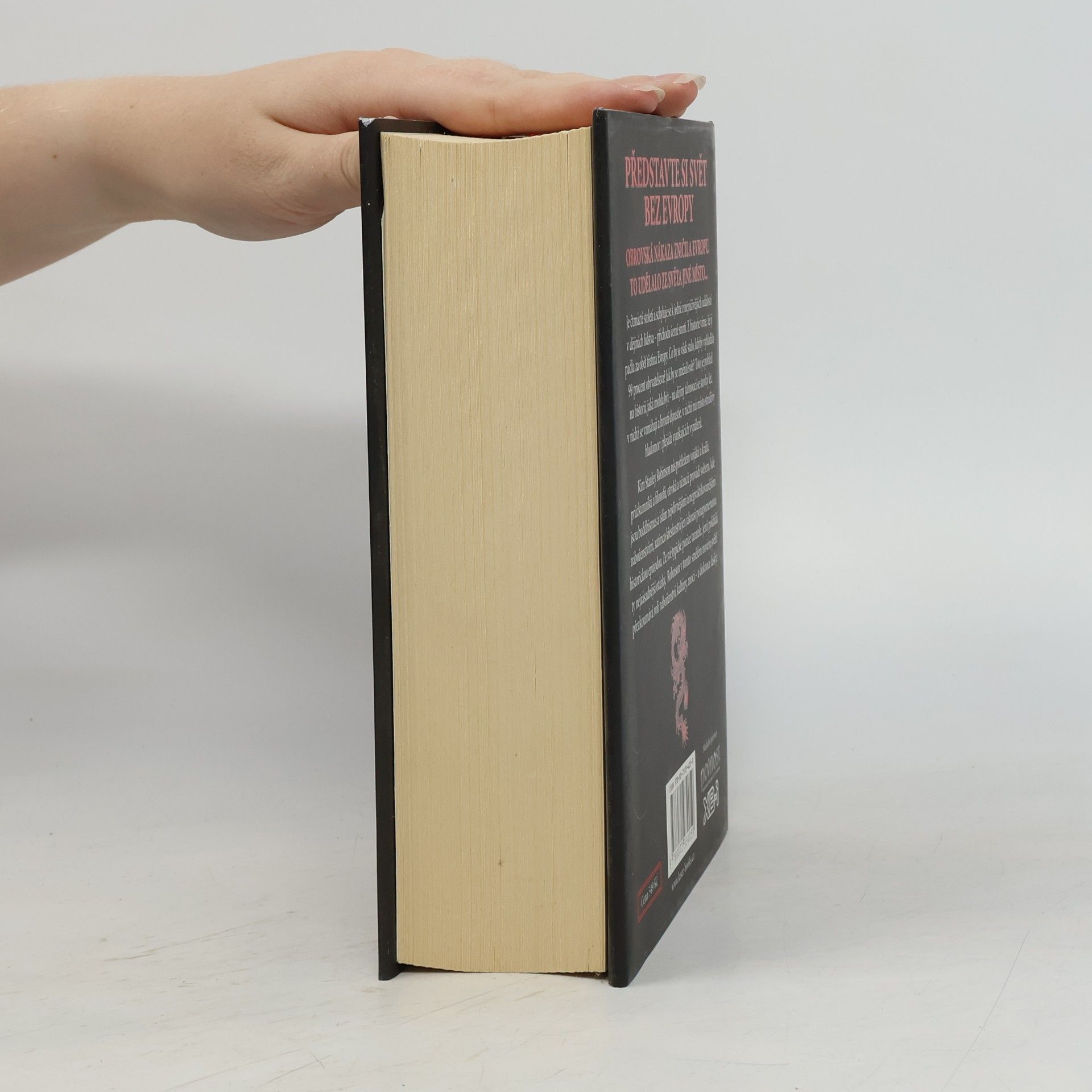 Kim Stanley Robinson Roky rýže a soli