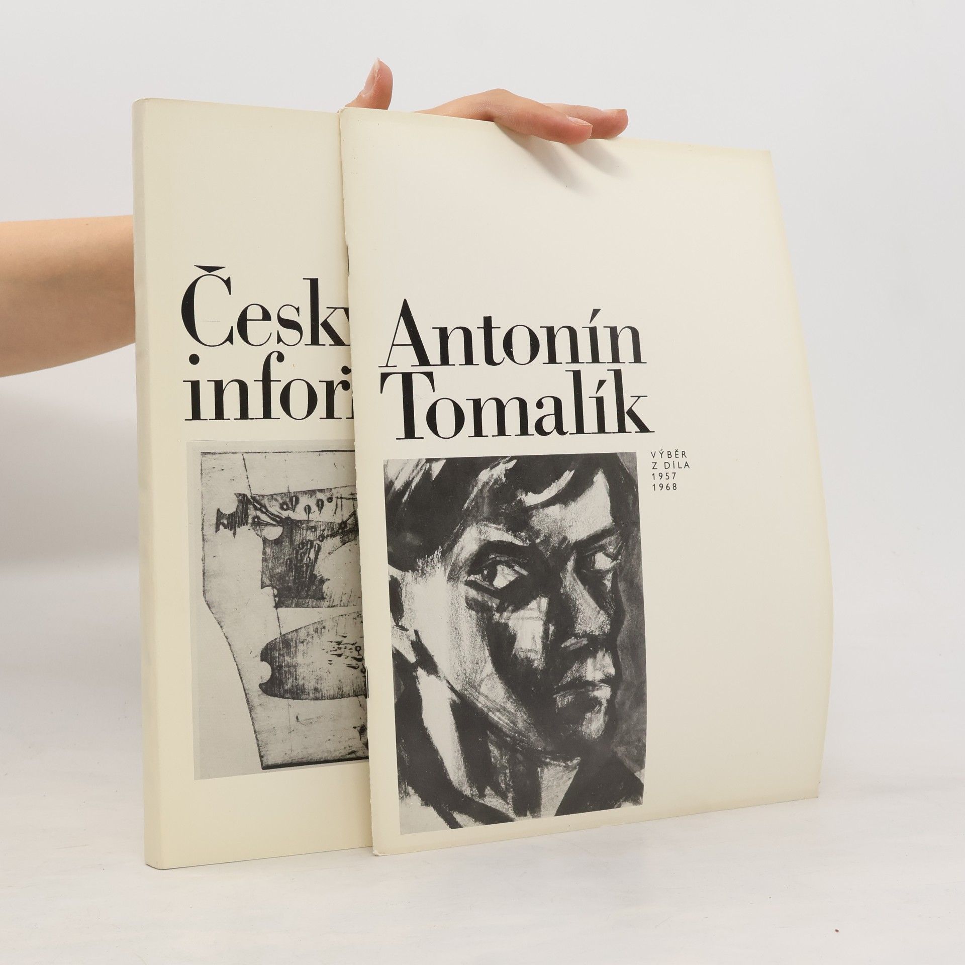 Kolektív autorov Český informel. Antonín Tomalík
