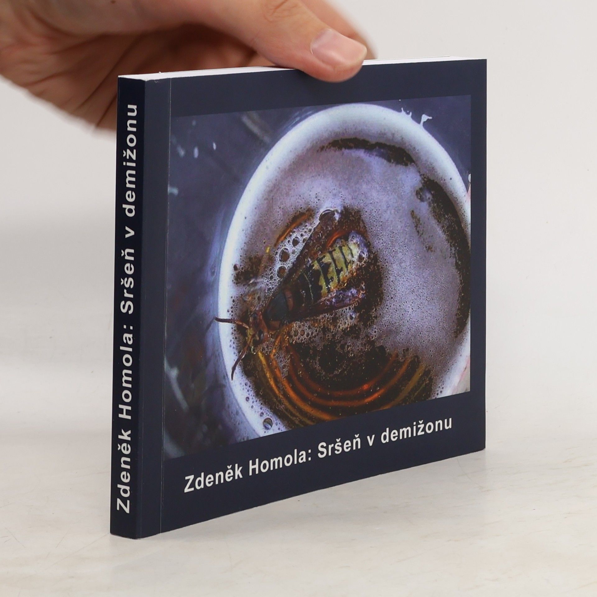 Zdeněk Homola Sršeň v demižonu
