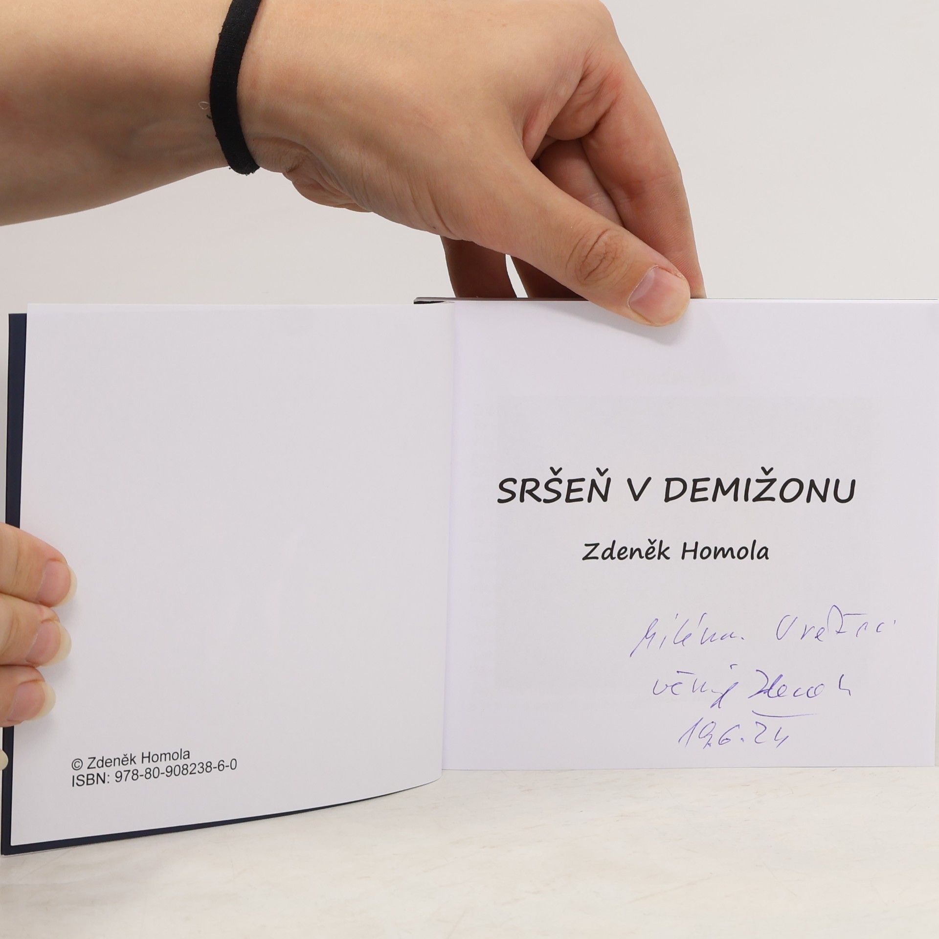 Zdeněk Homola Sršeň v demižonu