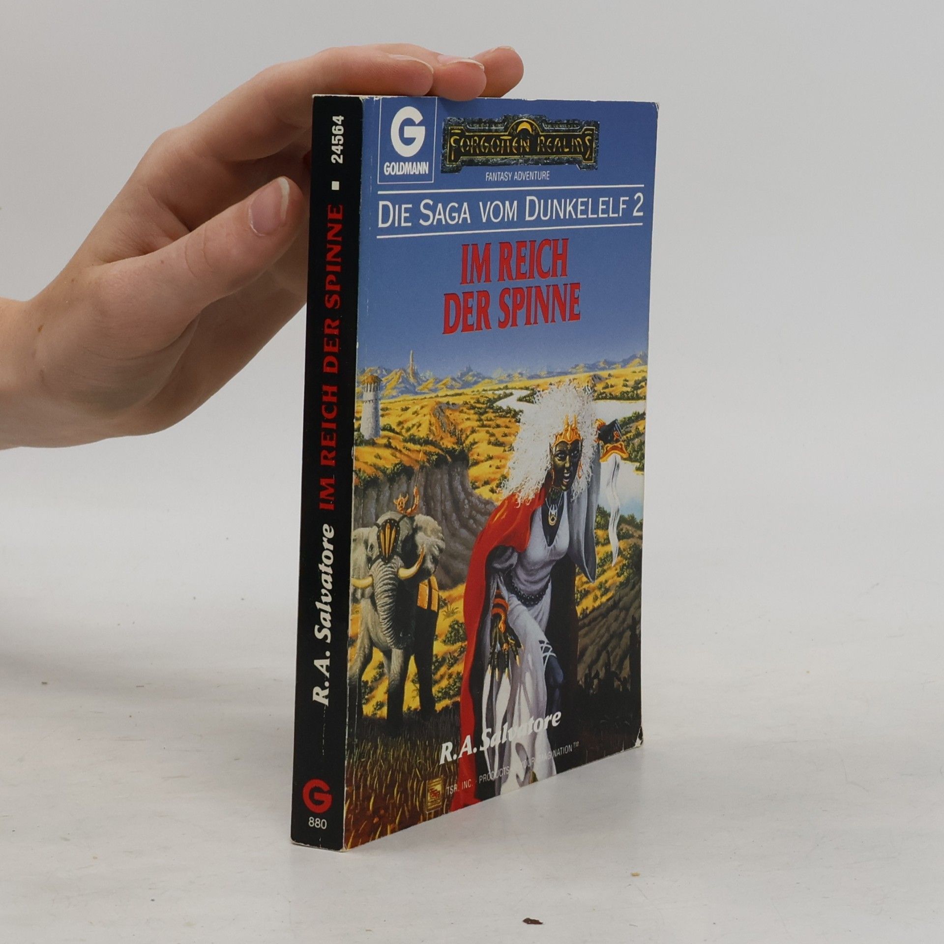 R. A. Salvatore Im Reich der Spinne. Die Saga vom Dunkelelf