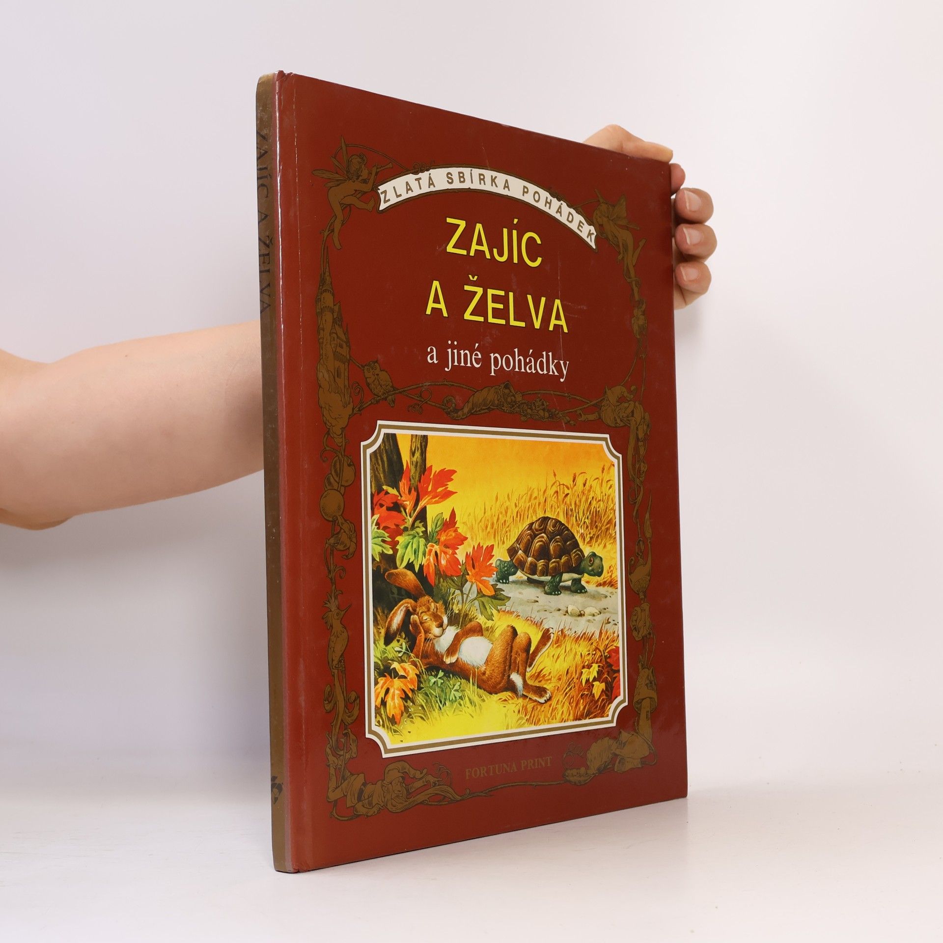 Autores varios Zajíc a želva a jiné pohádky