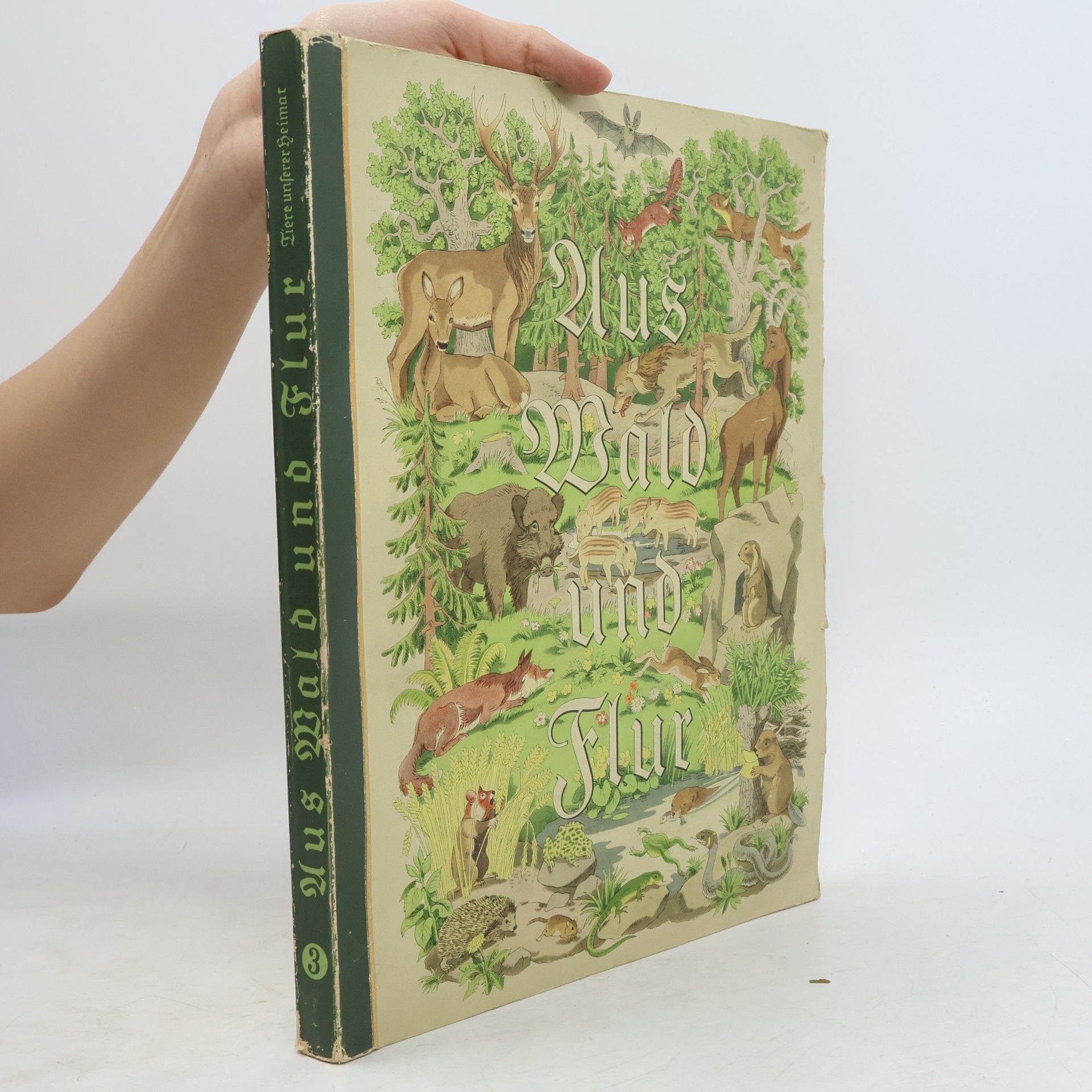 Kolektív autorov Aus Wald und Flur