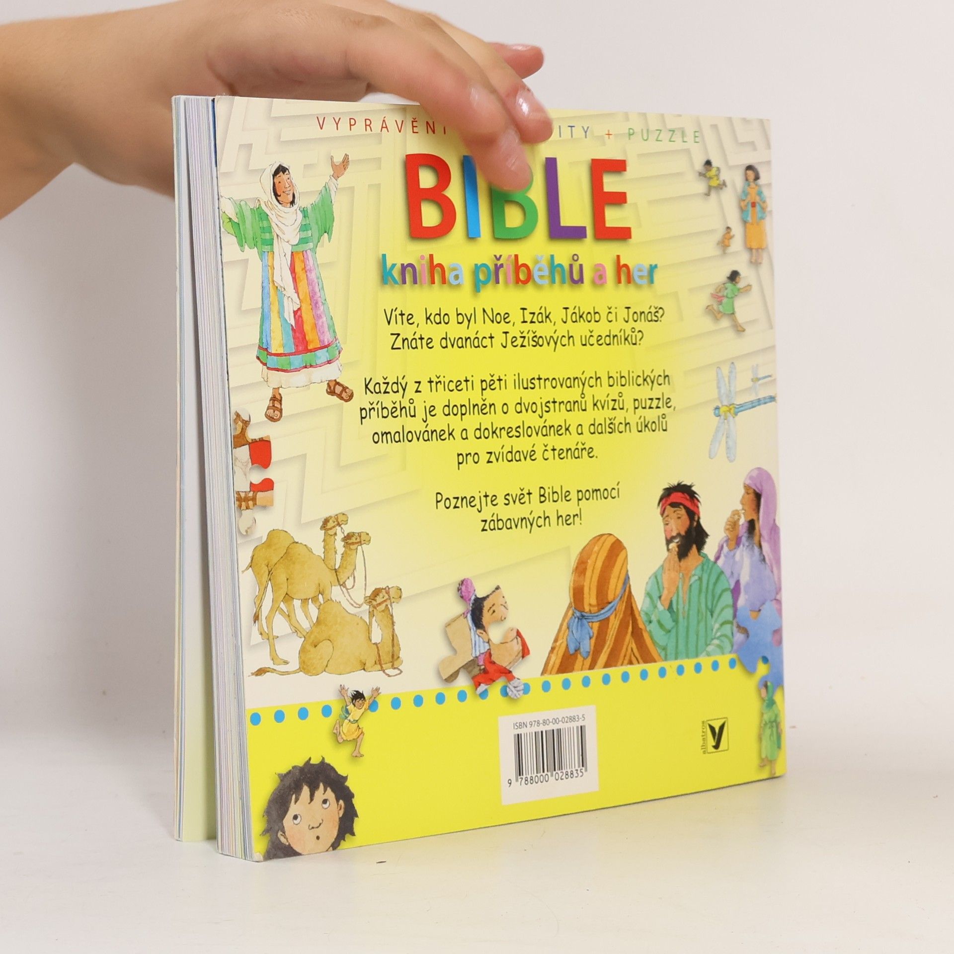 Sally Ann Wright Bible: kniha příběhů a her